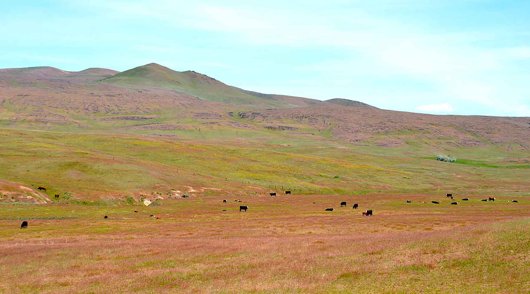 Little Willow Creek Ranch property picture 54 of 86