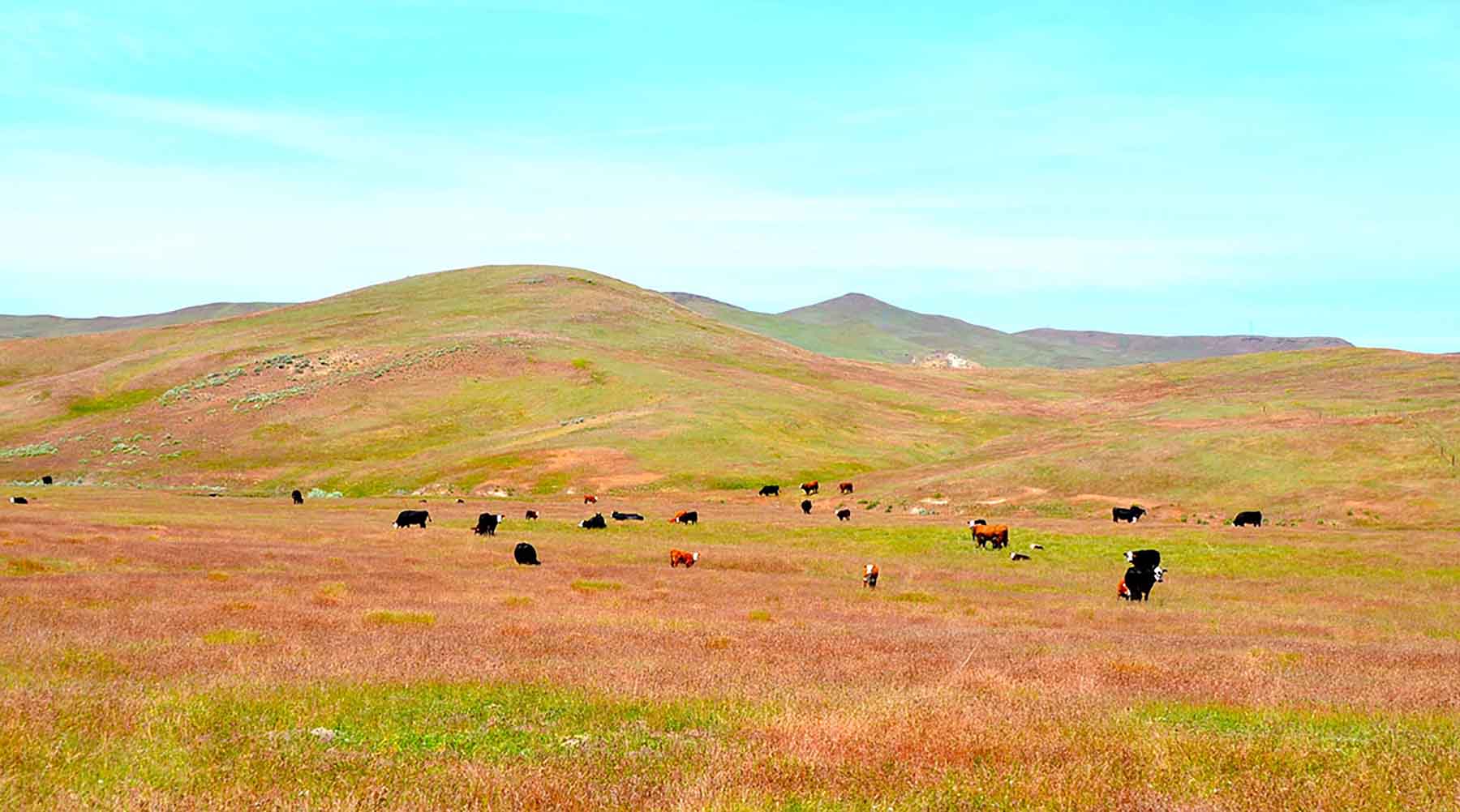 Little Willow Creek Ranch property picture 55 of 86