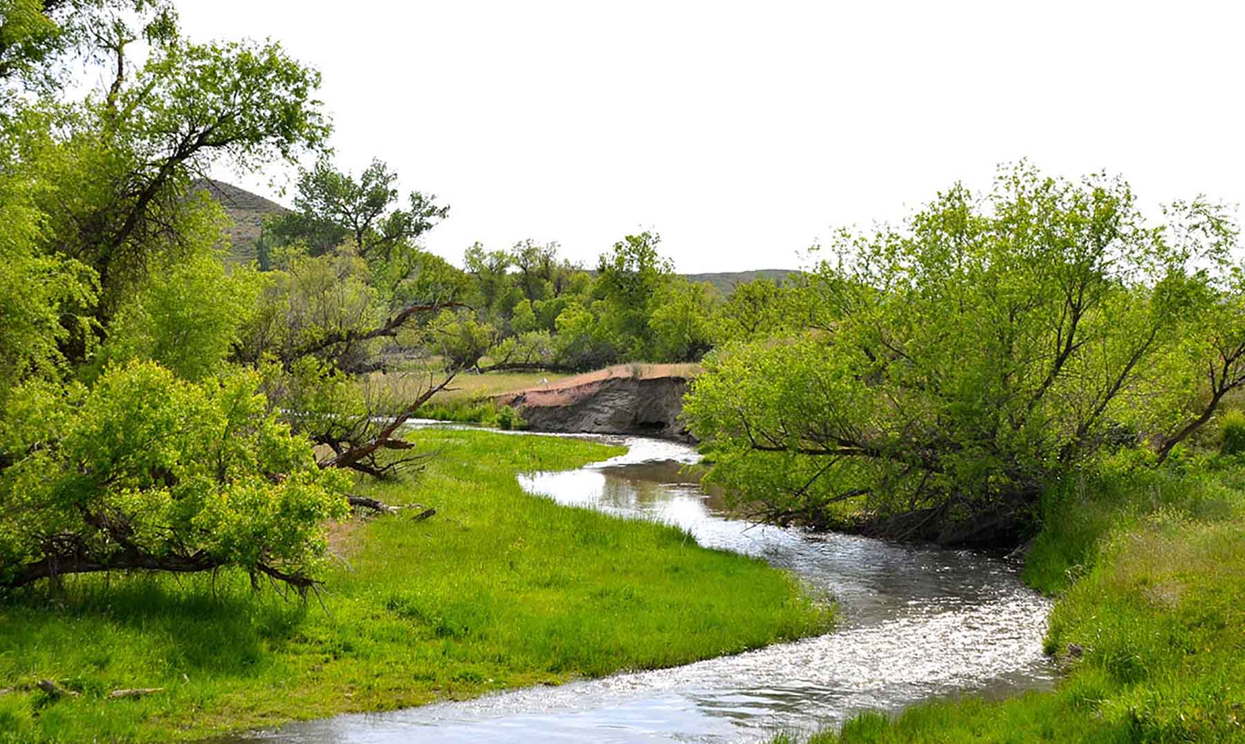 Little Willow Creek Ranch property picture 57 of 86