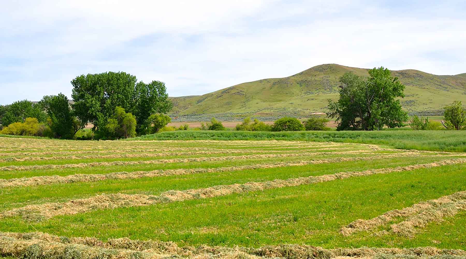 Little Willow Creek Ranch property picture 64 of 86