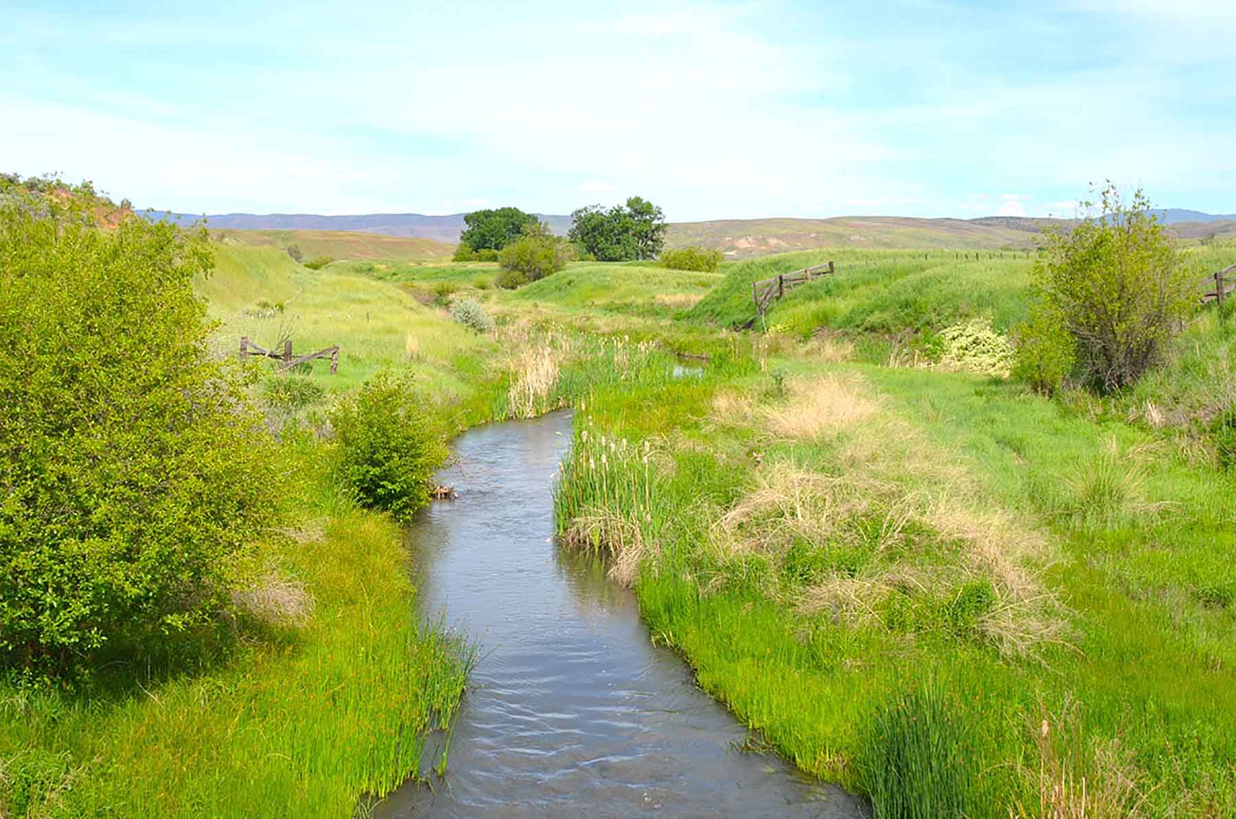 Little Willow Creek Ranch property picture 66 of 86