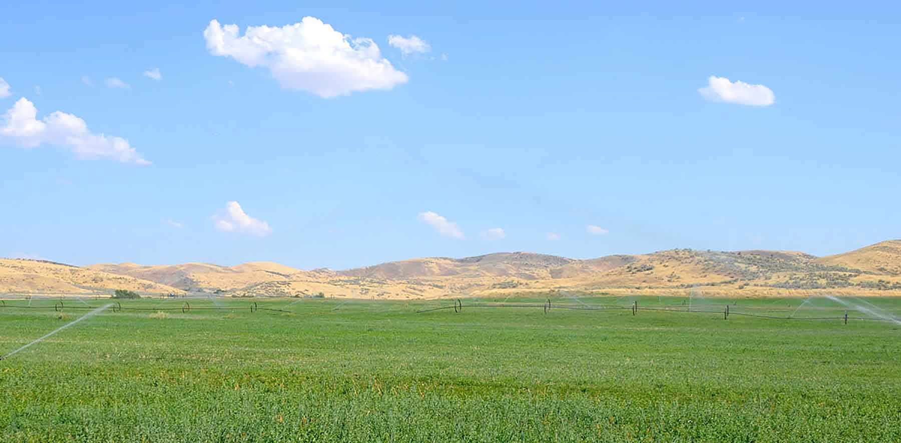 Little Willow Creek Ranch property picture 79 of 86