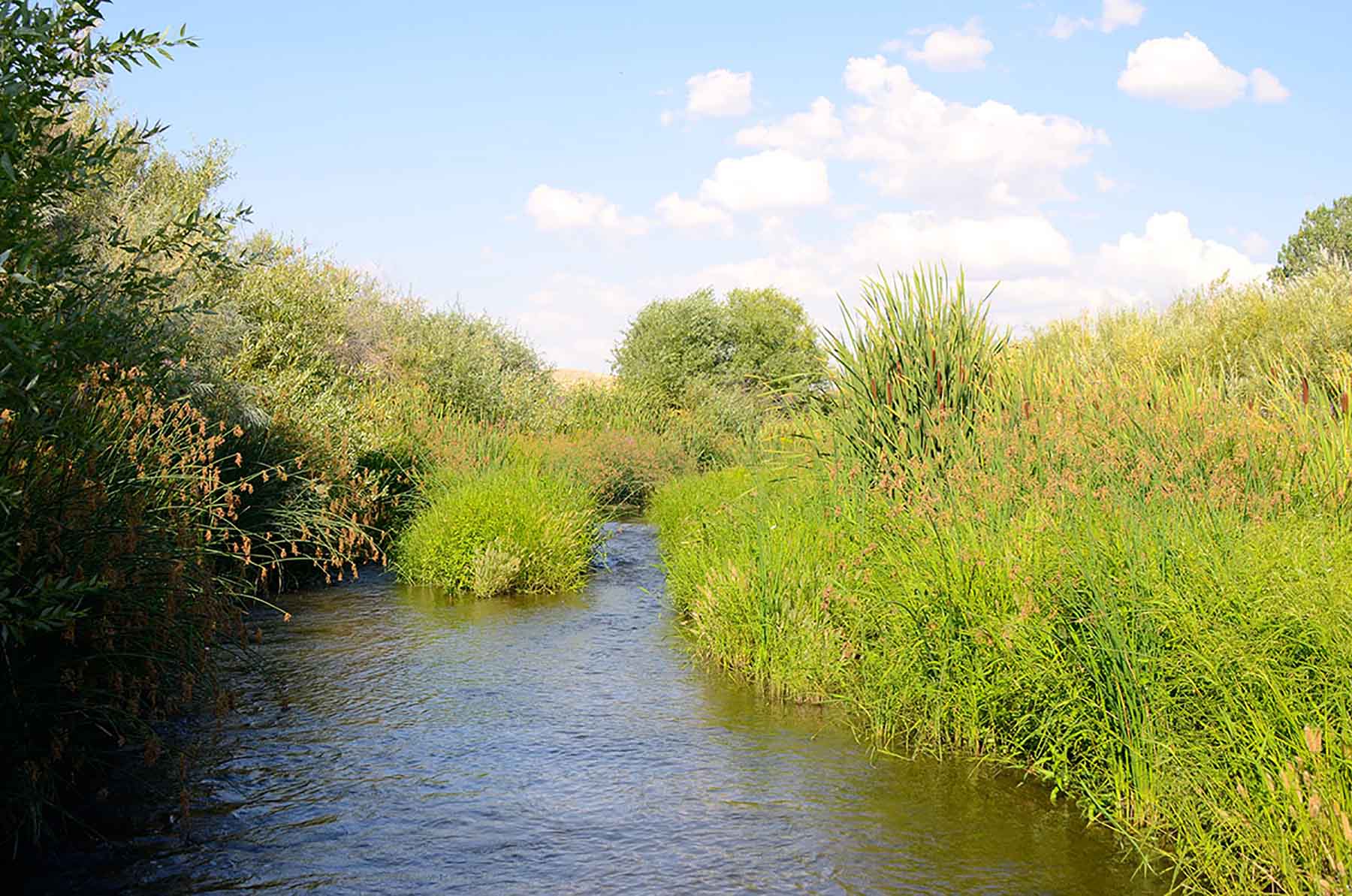 Little Willow Creek Ranch property picture 80 of 86