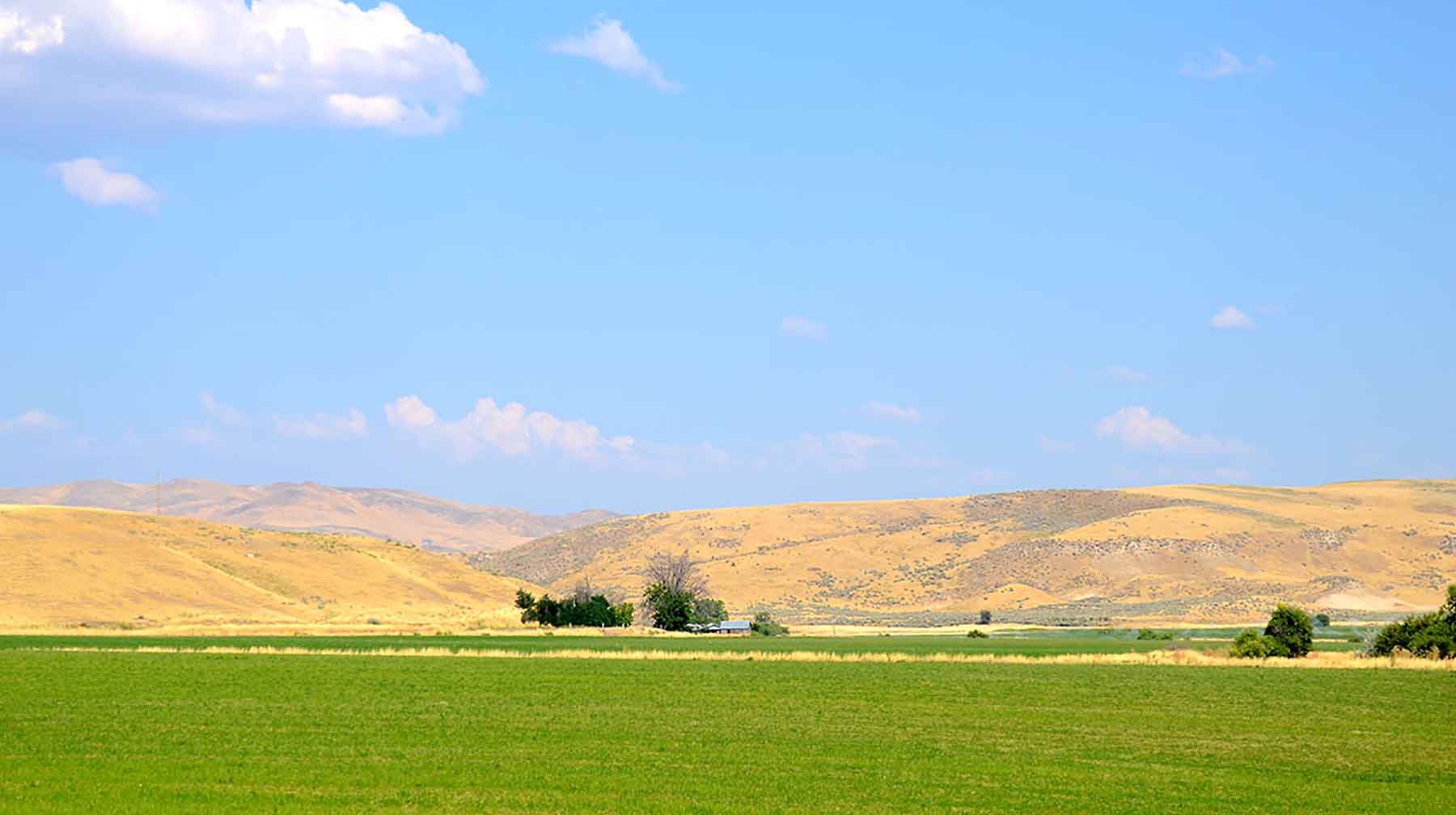 Little Willow Creek Ranch property picture 81 of 86