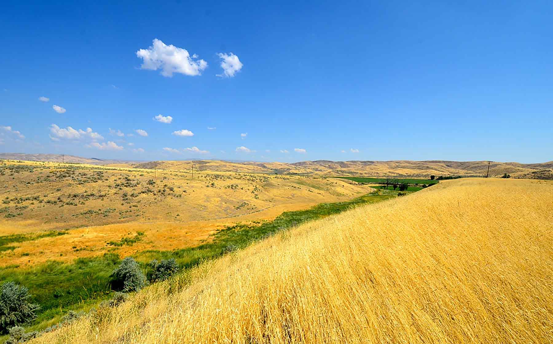 Little Willow Creek Ranch property picture 82 of 86