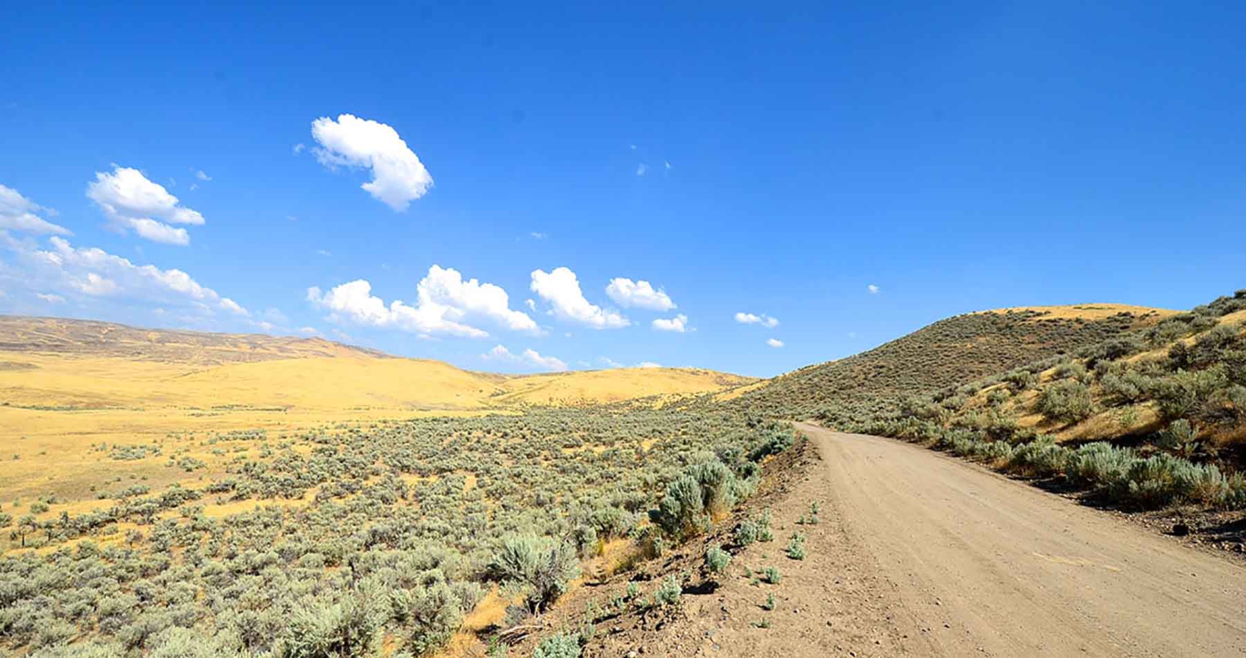 Little Willow Creek Ranch property picture 84 of 86