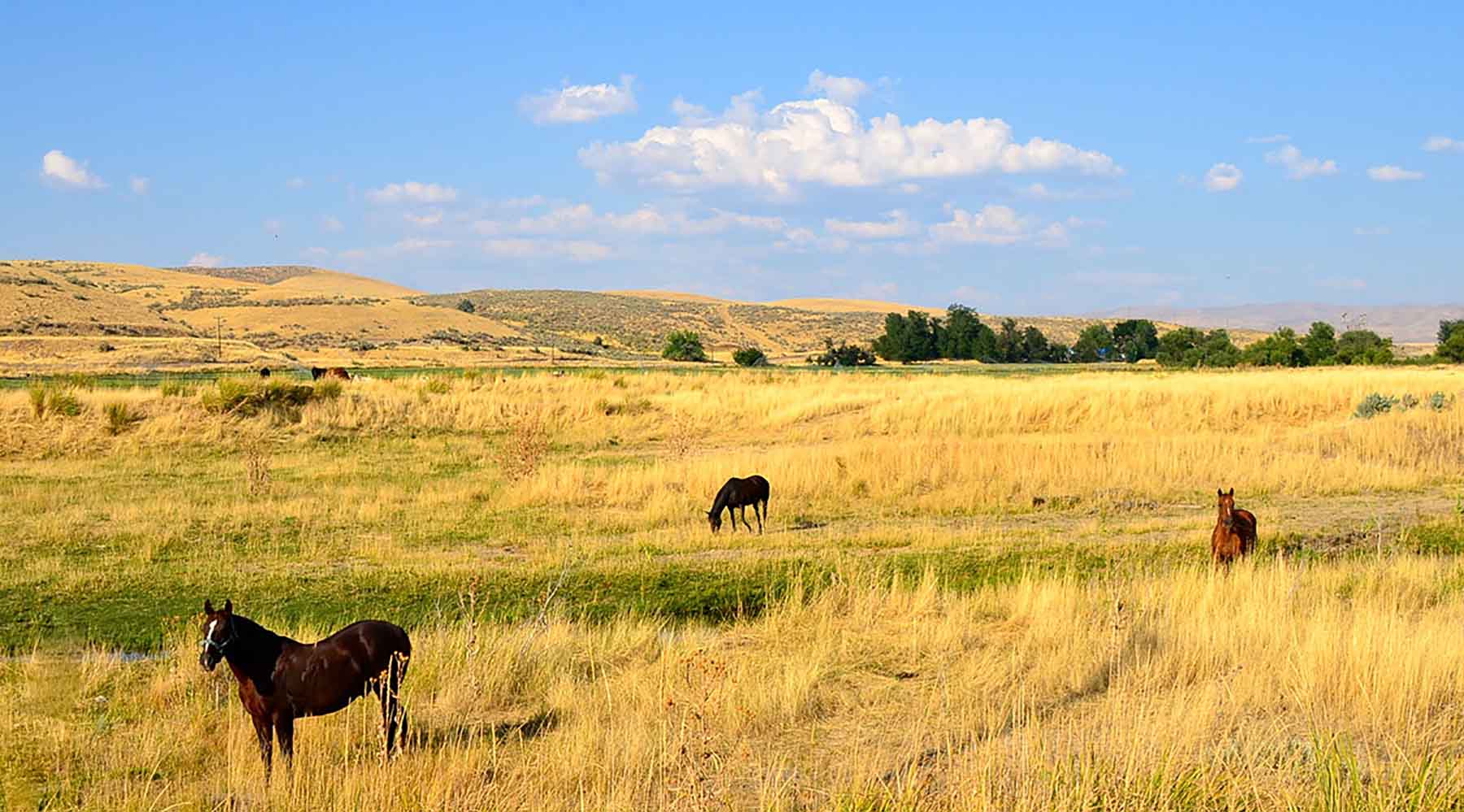 Little Willow Creek Ranch property picture 85 of 86