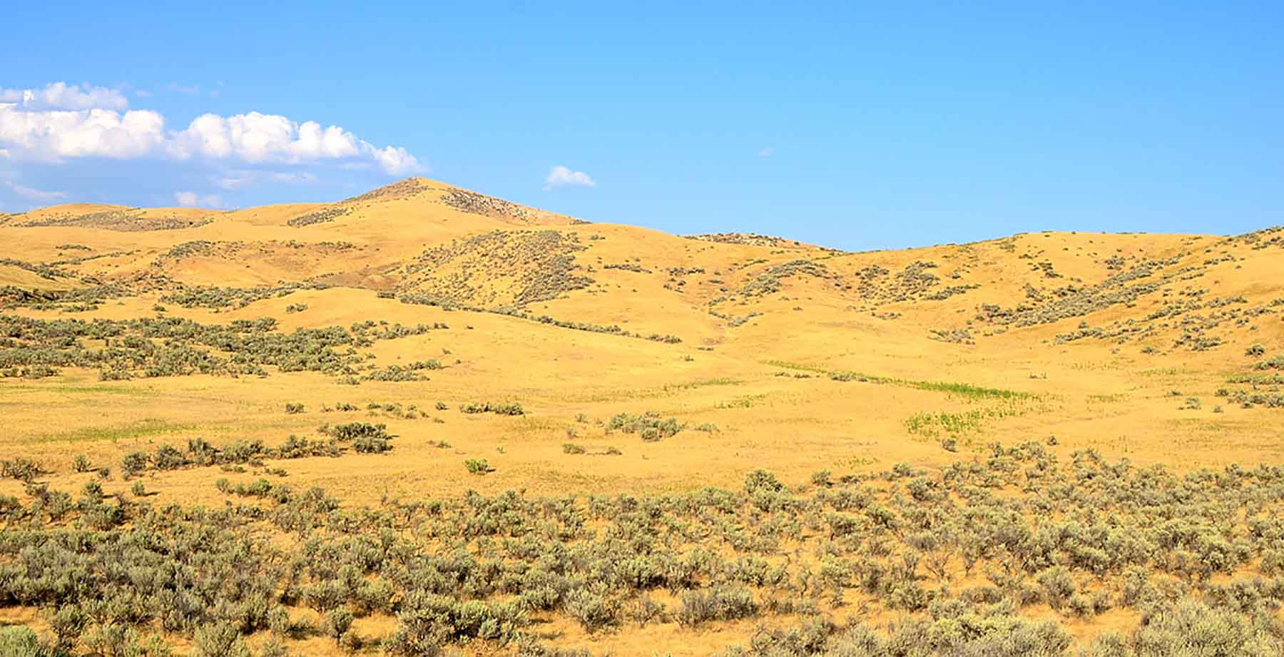 Little Willow Creek Ranch property picture 86 of 86