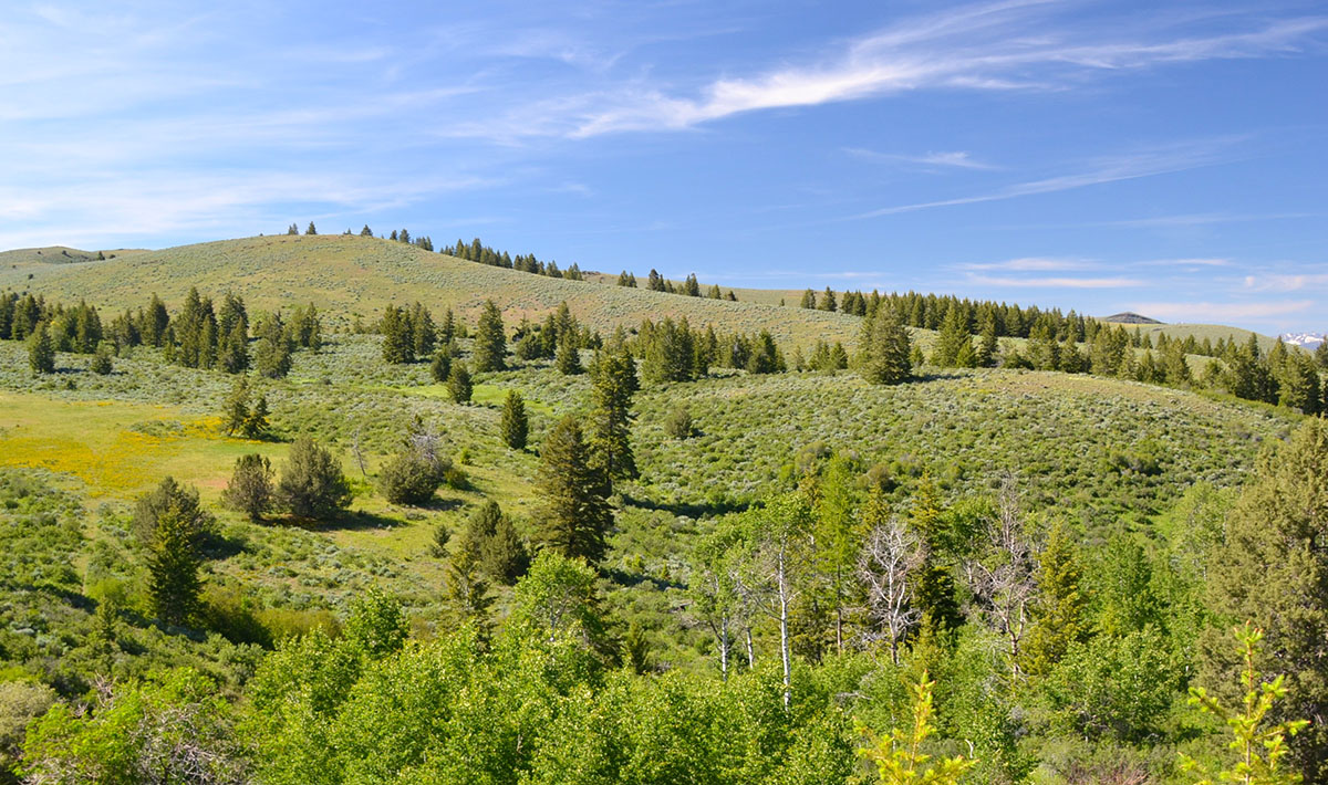 Lookout Mountain Ranch property picture 9 of 10