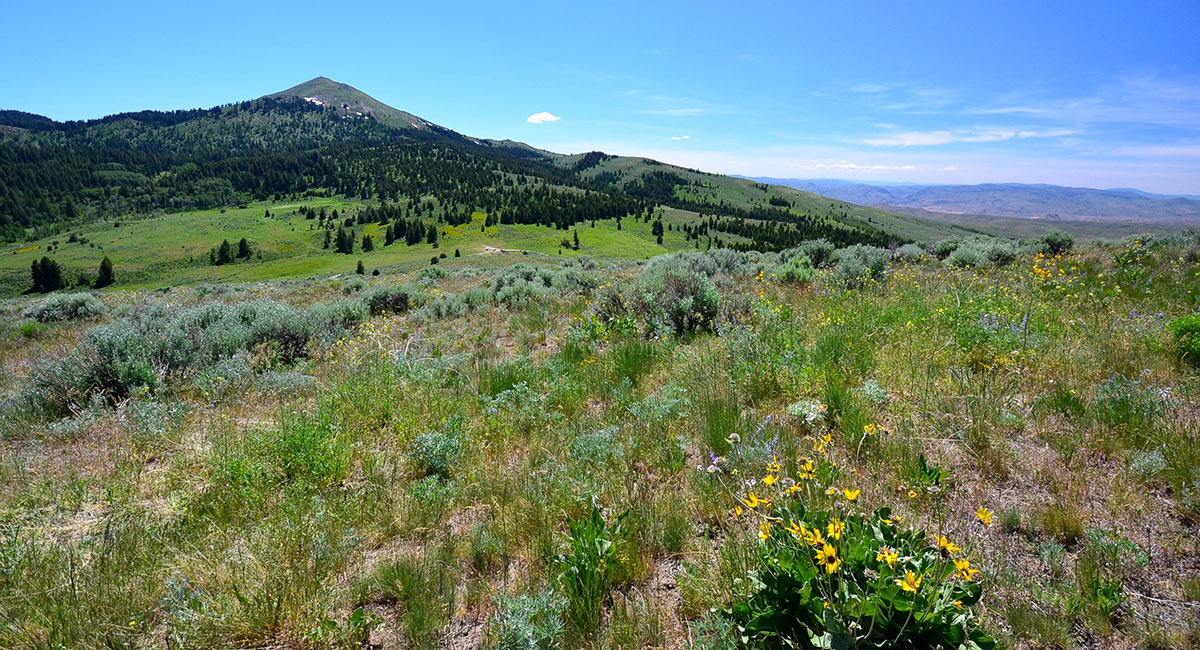Lookout Mountain Ranch property picture 7 of 10