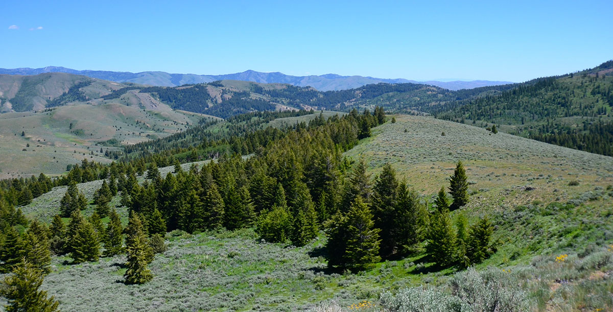 Lookout Mountain Ranch property picture 5 of 10