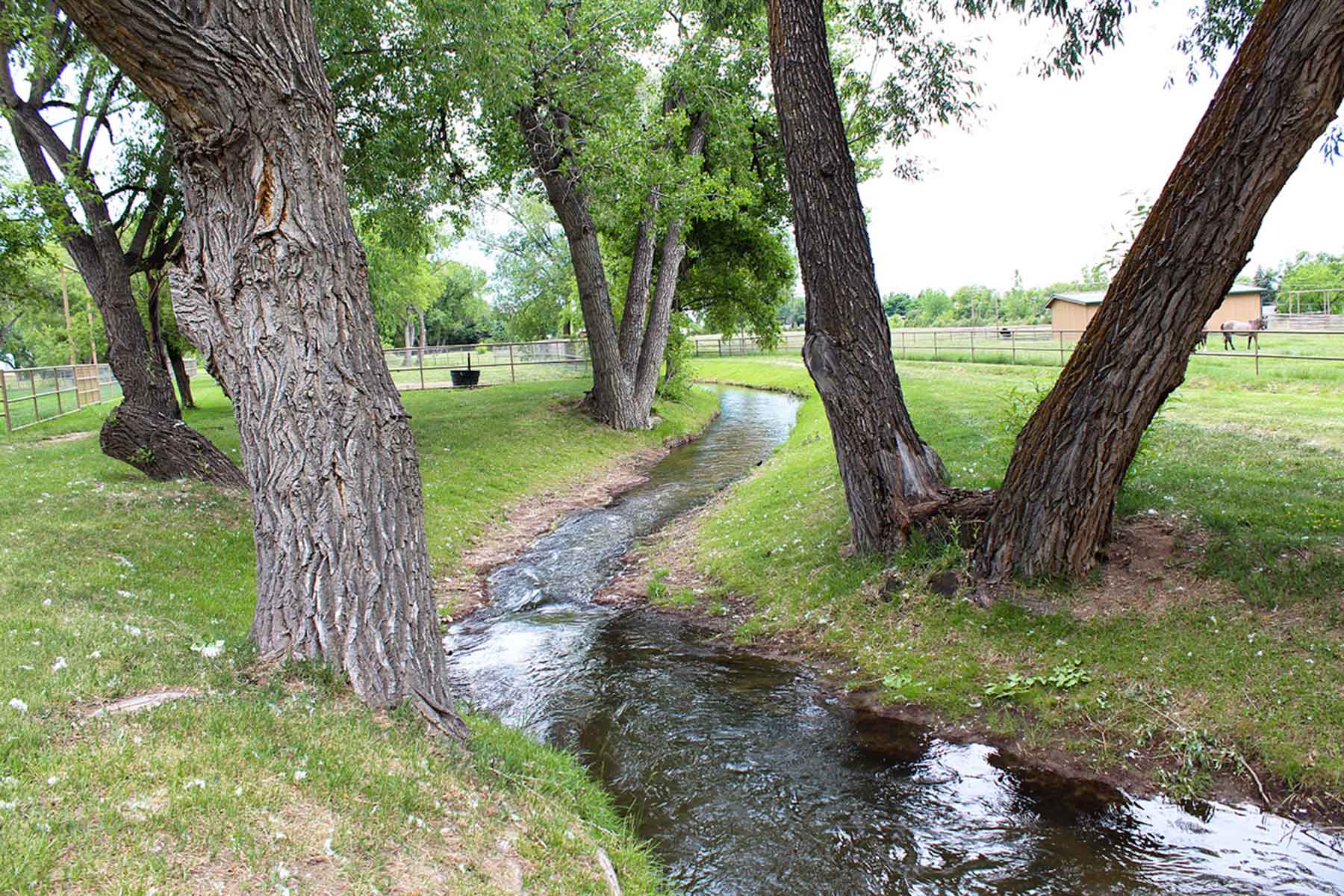 Rocking R - Horse Ranch property picture 31 of 56