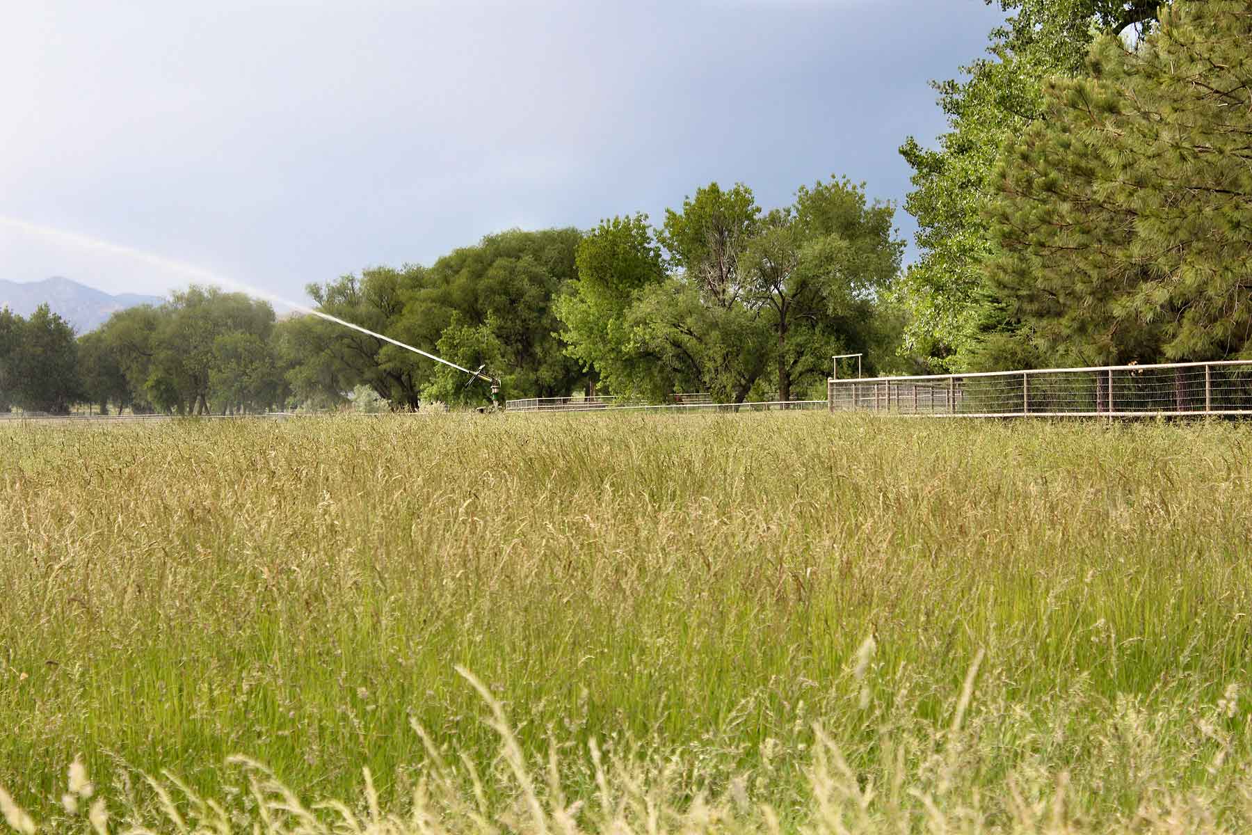 Rocking R - Horse Ranch property picture 56 of 56