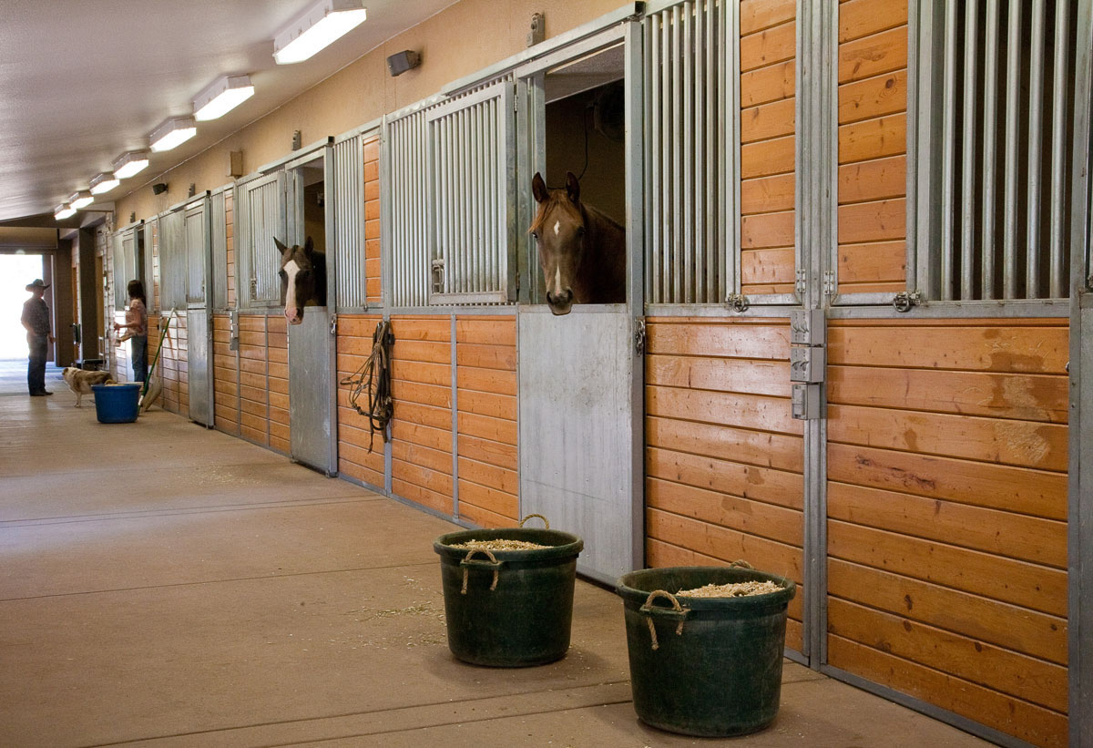 Rocking R - Horse Ranch property picture 6 of 56