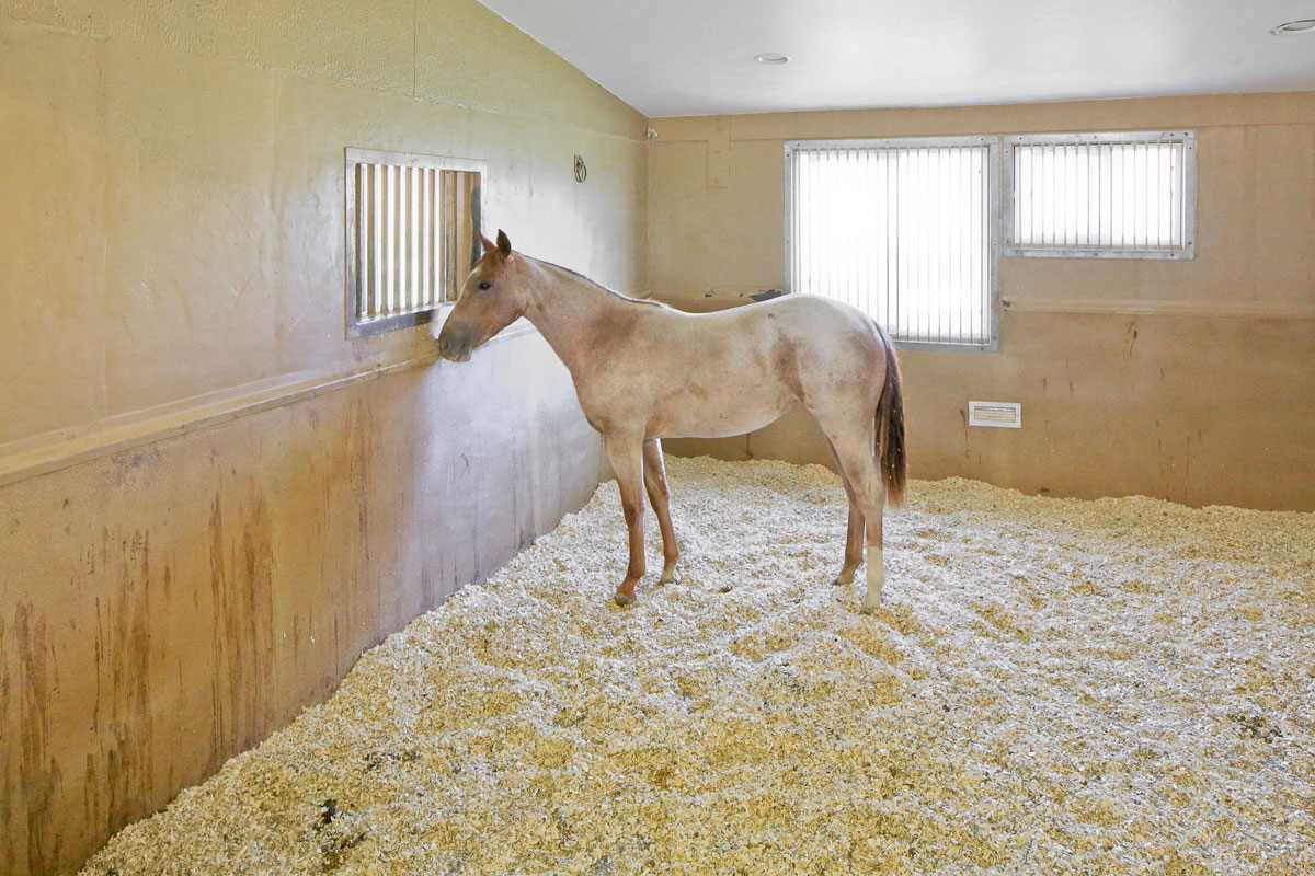 Rocking R - Horse Ranch property picture 43 of 56