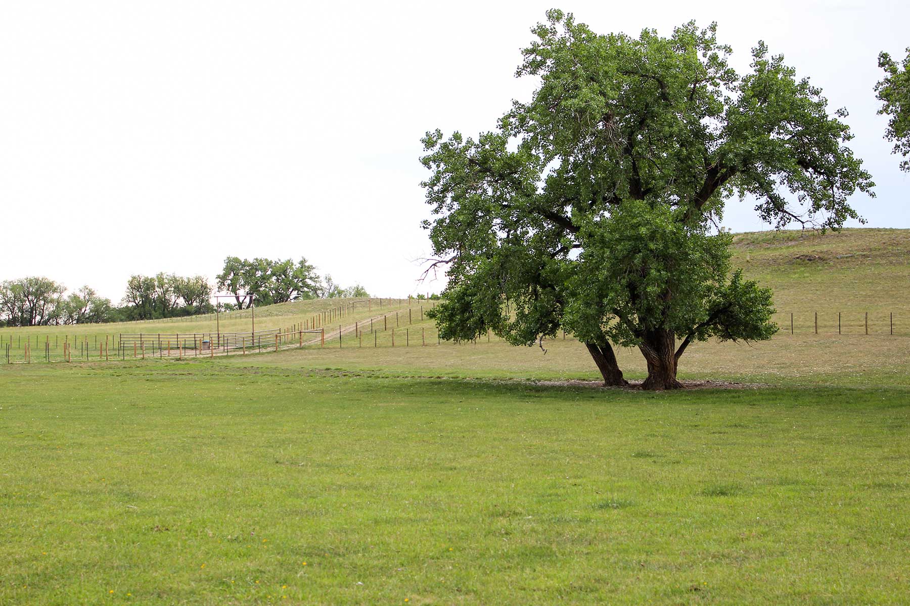 Rabbit Mountain - Vacant Land property picture 17 of 19