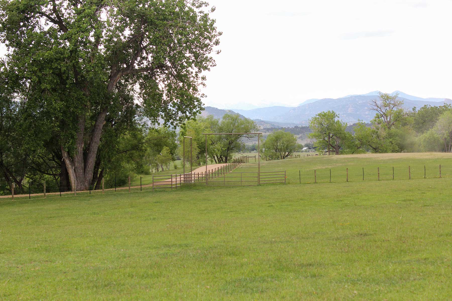 Rabbit Mountain - Vacant Land property picture 18 of 19
