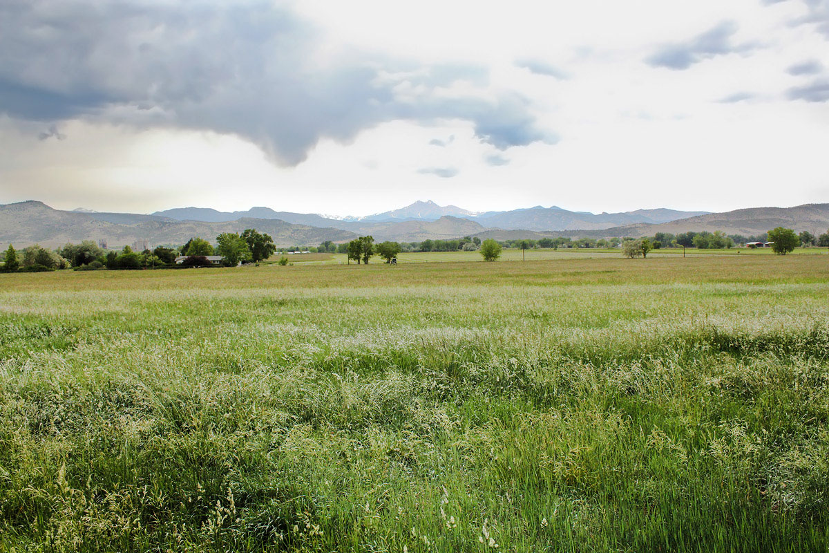 Rabbit Mountain - Vacant Land property picture 2 of 19