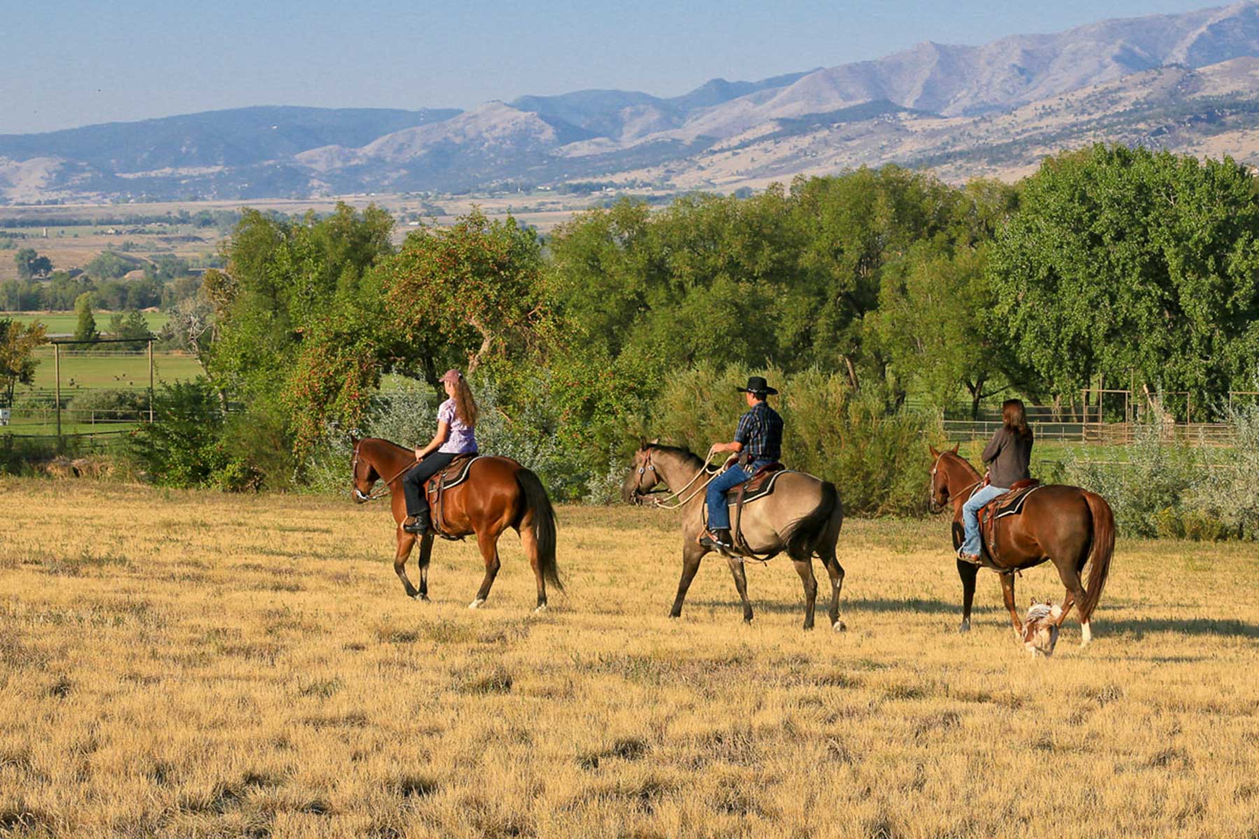 Rabbit Mountain - Vacant Land property picture 7 of 19