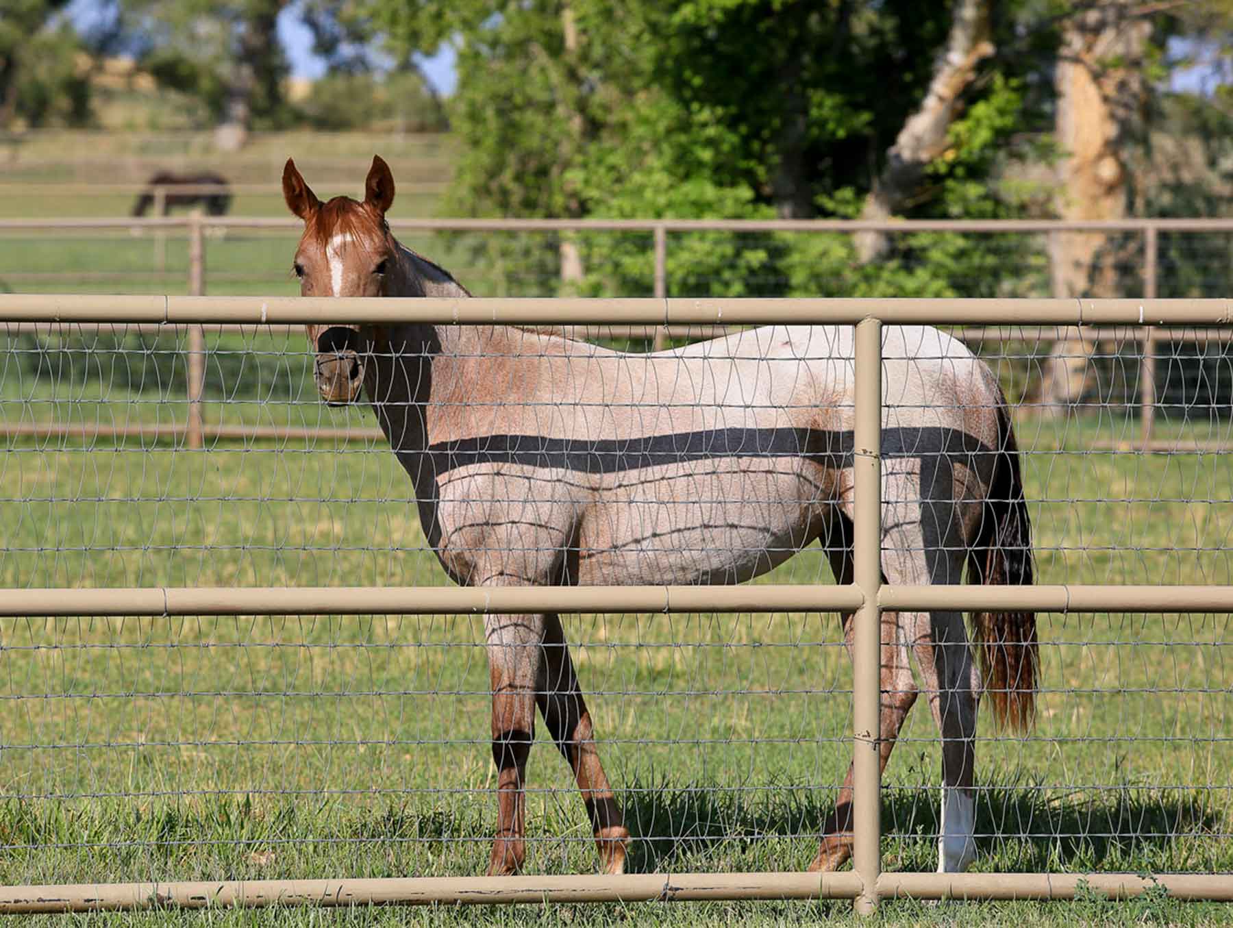 Rabbit Mountain - Vacant Land property picture 10 of 19