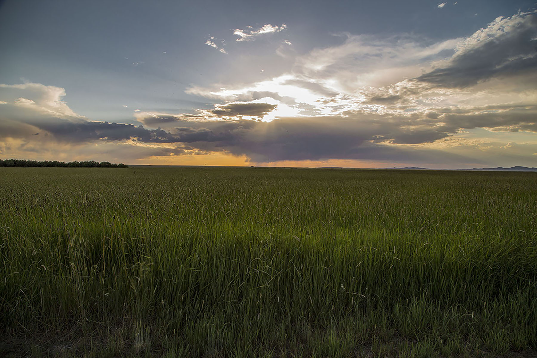 Pass Creek Ranch property picture 25 of 27