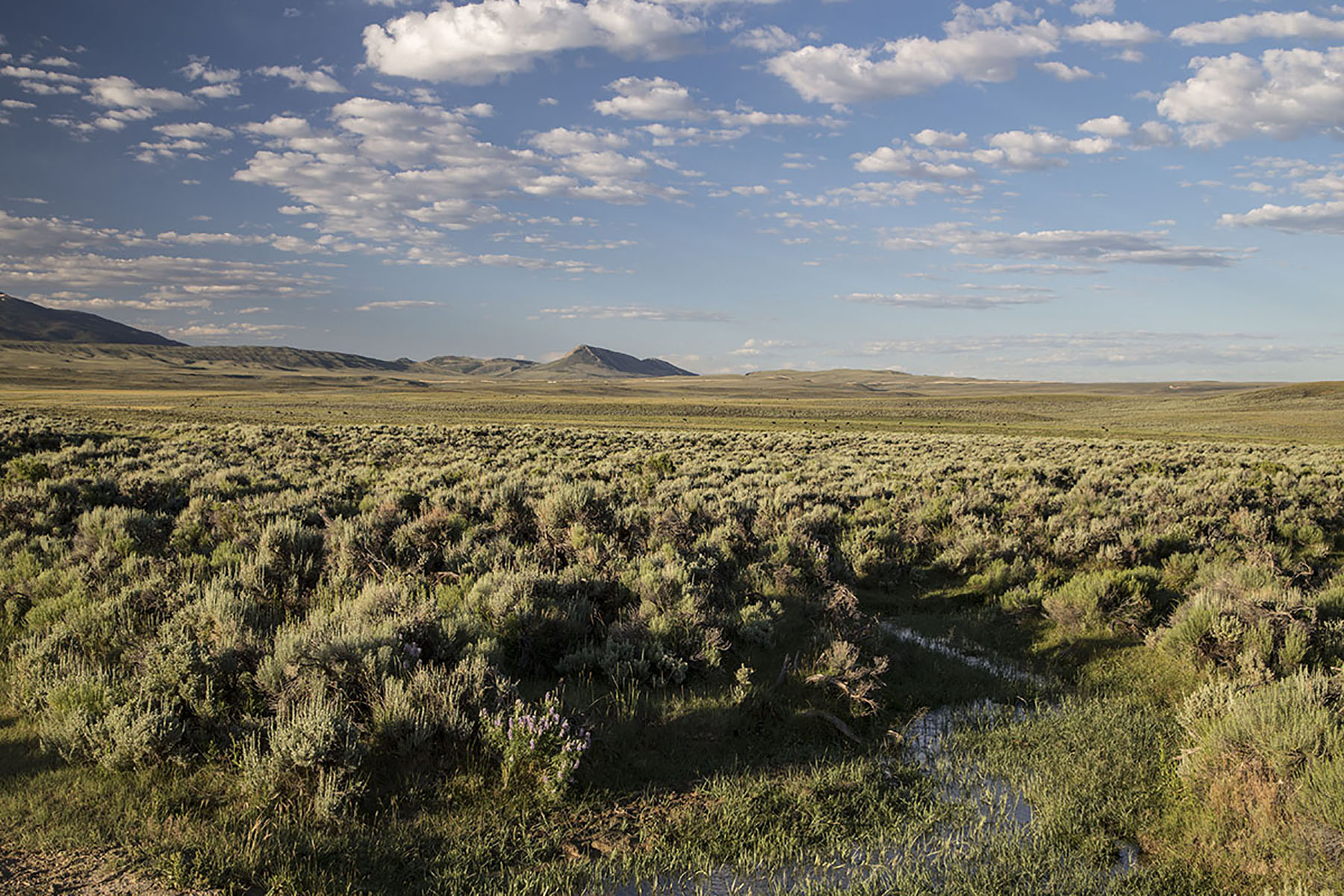 Pass Creek Ranch property picture 5 of 27
