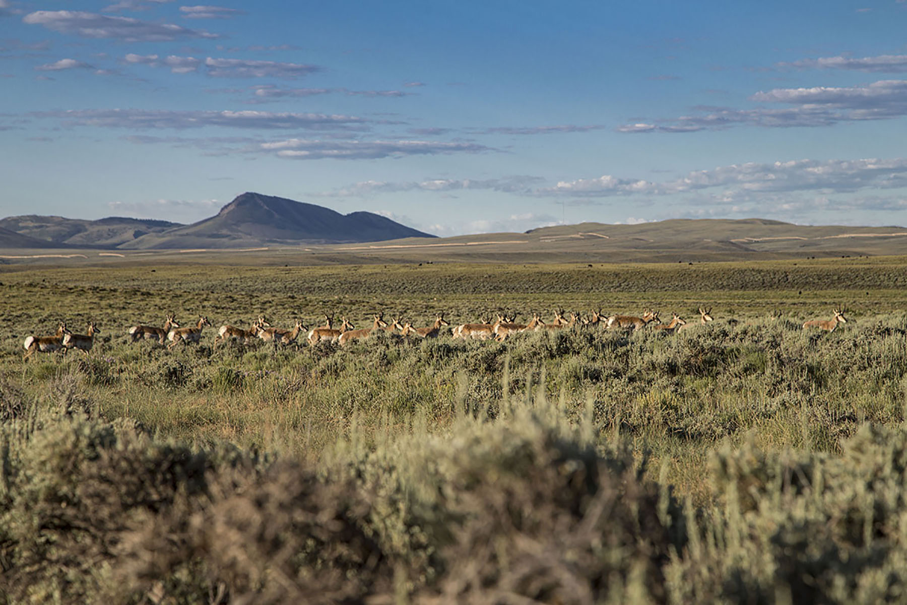 Pass Creek Ranch property picture 20 of 27