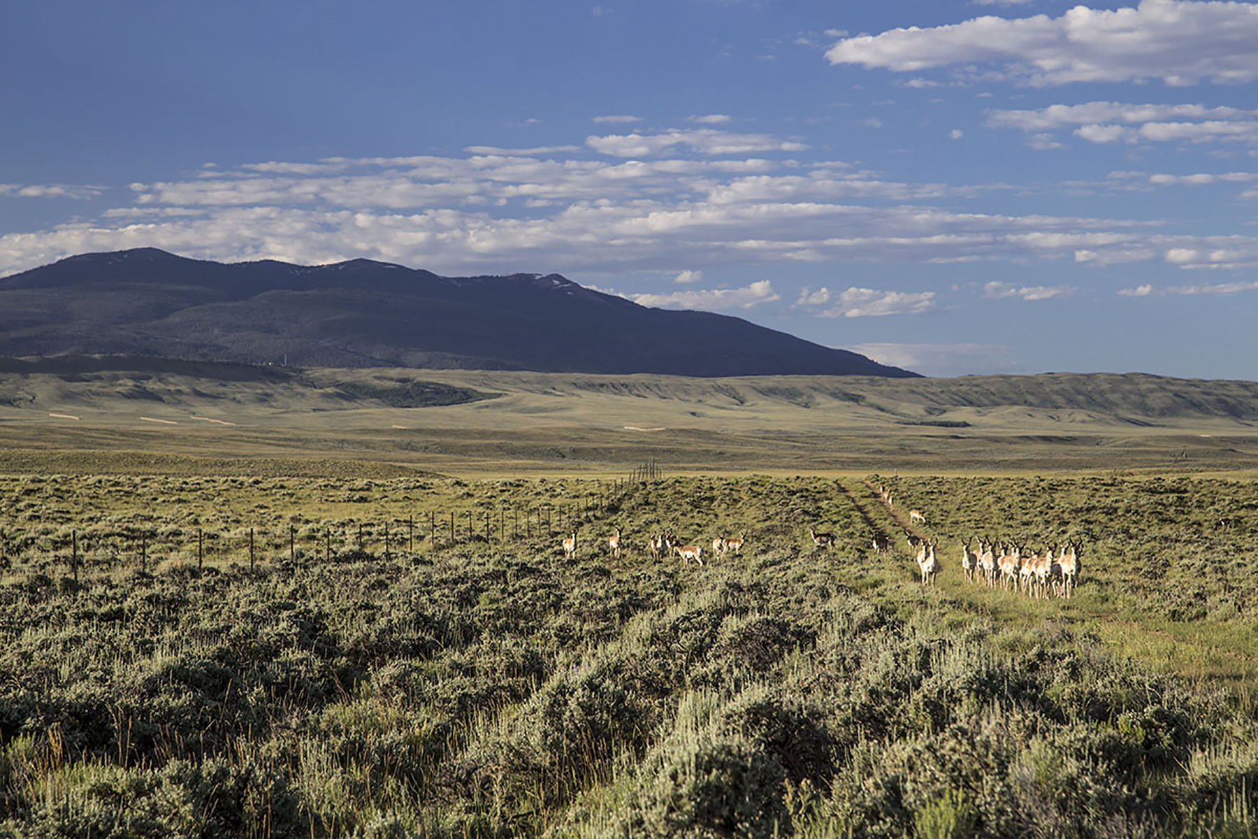 Pass Creek Ranch property picture 14 of 27