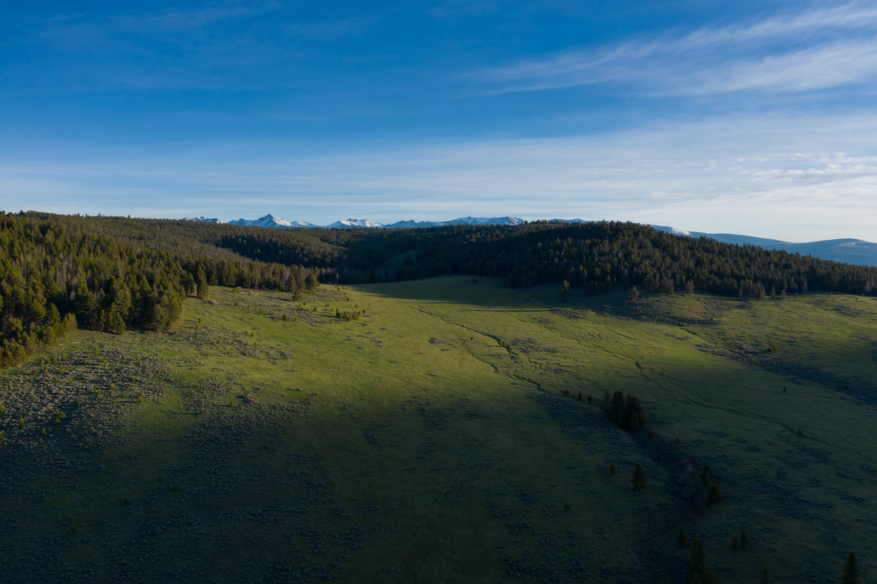 Bear Mountain Ranch property picture 13 of 22