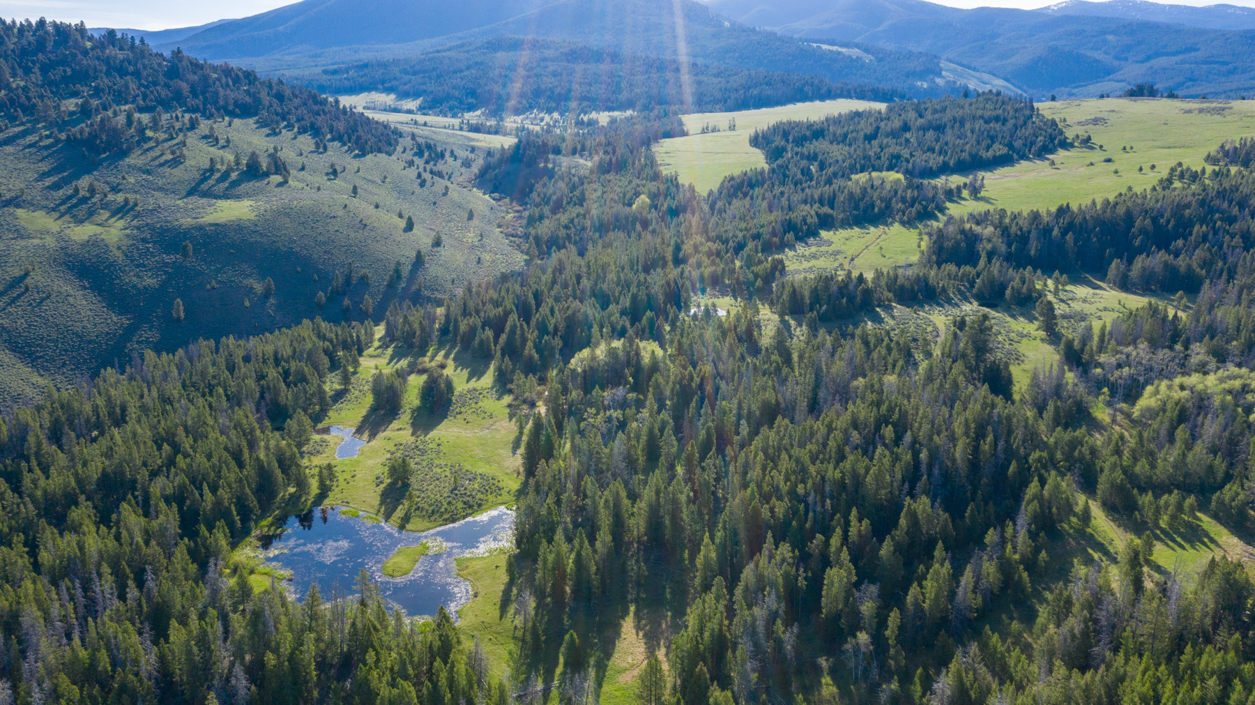 Bear Mountain Ranch property picture 20 of 22