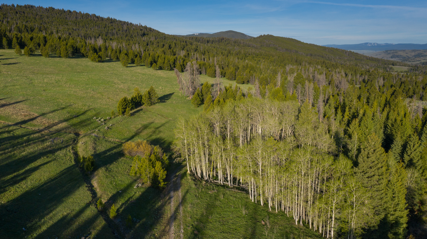 Bear Mountain Ranch property picture 12 of 22