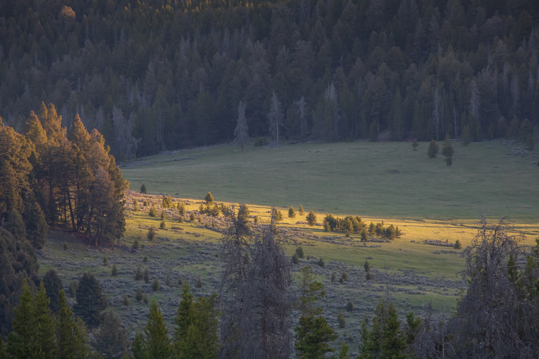 Bear Mountain Ranch property picture 6 of 22