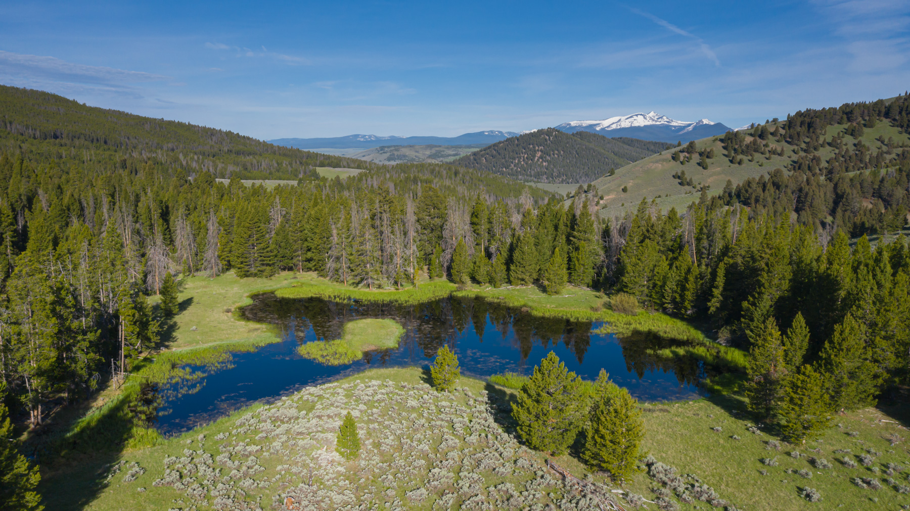 Bear Mountain Ranch property picture 21 of 22