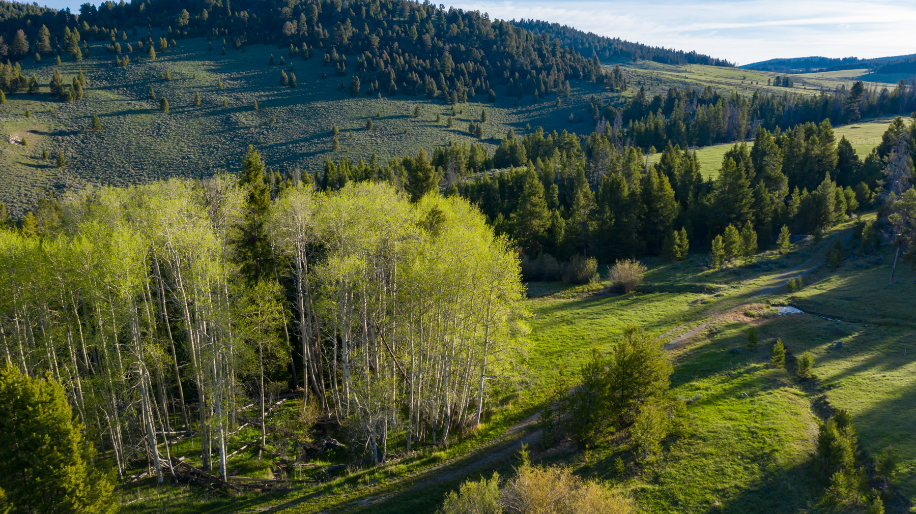 Bear Mountain Ranch property picture 2 of 22