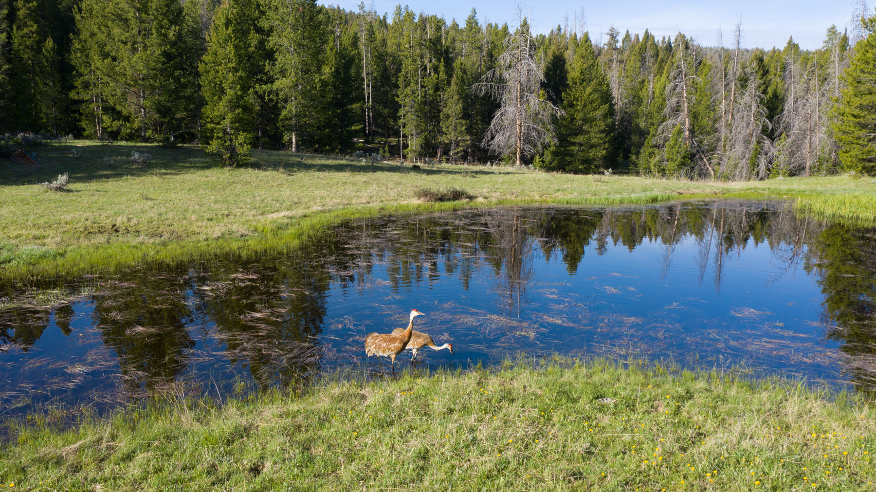 Bear Mountain Ranch property picture 5 of 22