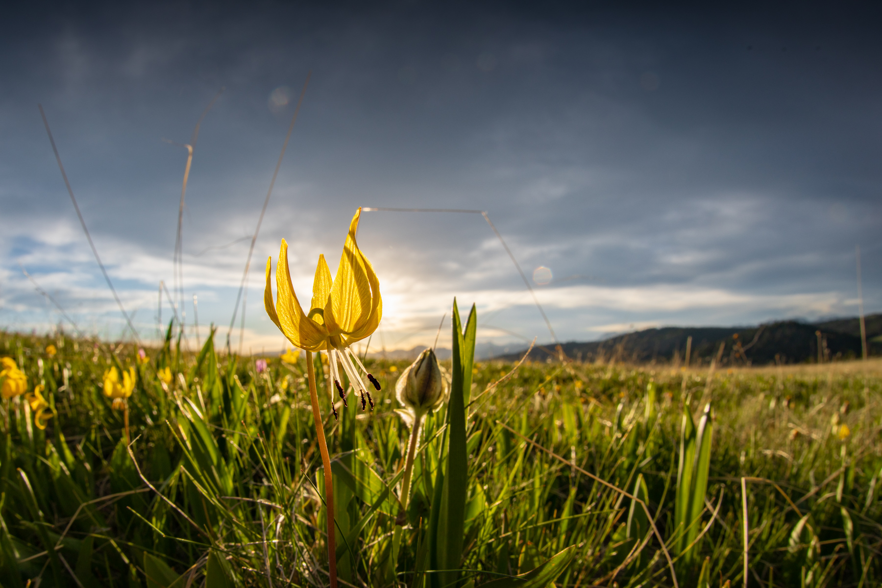 Bear Mountain Ranch property picture 4 of 22