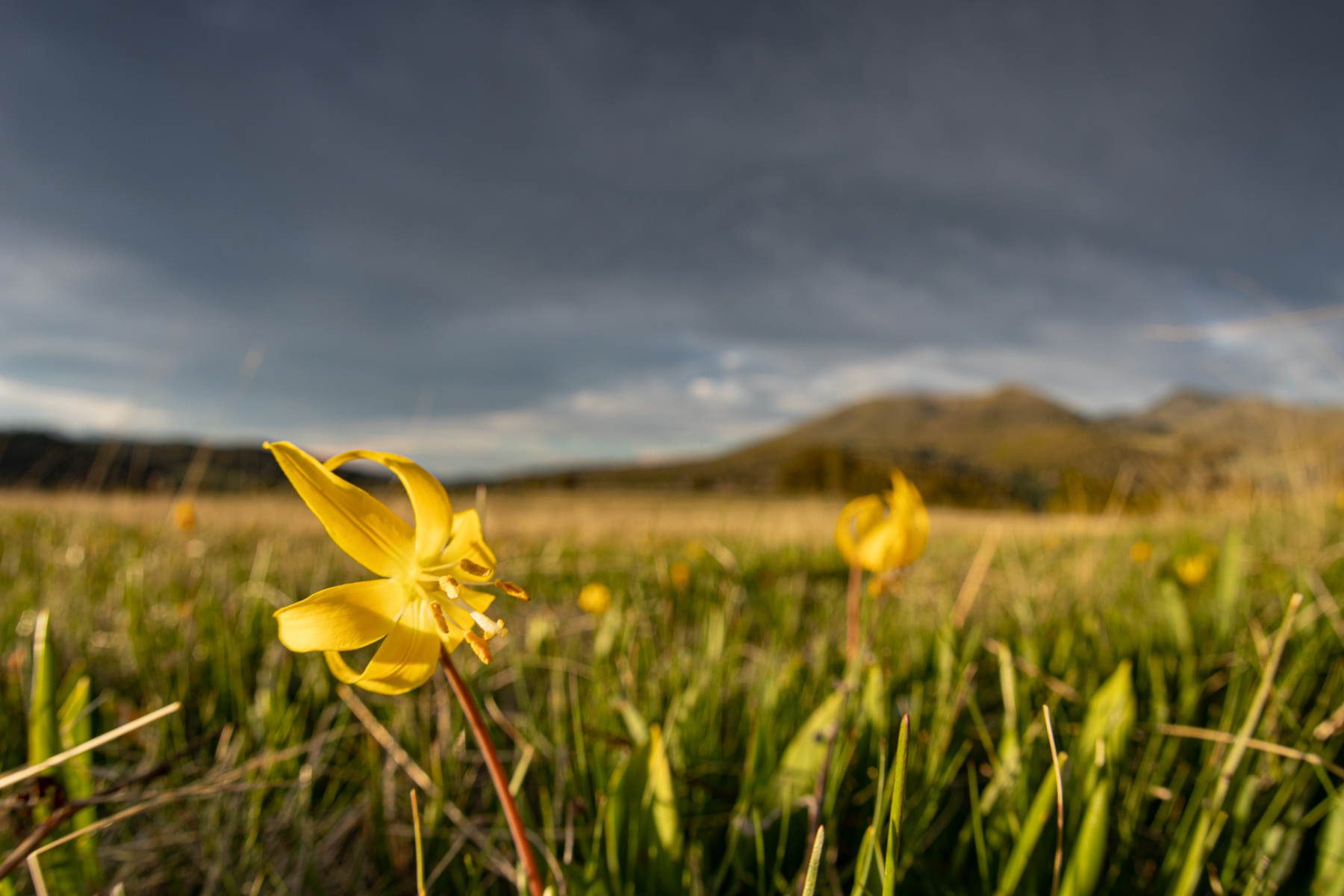 Bear Mountain Ranch property picture 14 of 22