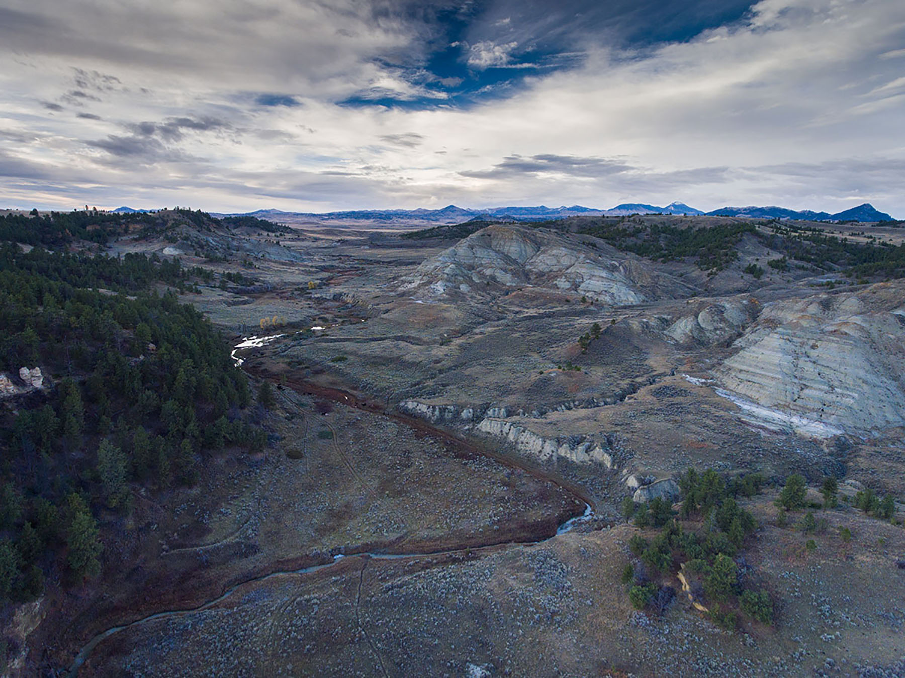 Birch Creek Ranch Sold Montana Hall and Hall