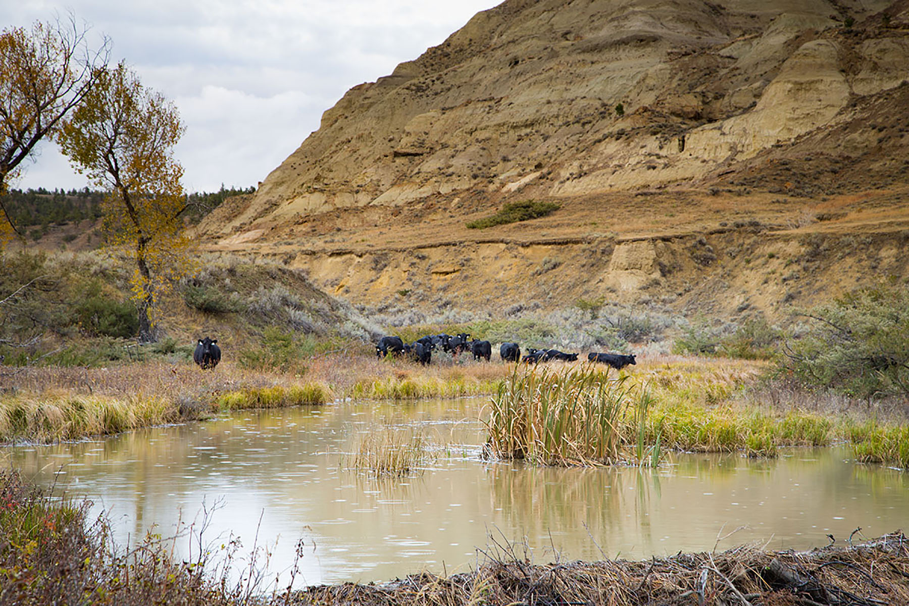 Birch Creek Ranch property picture 13 of 25