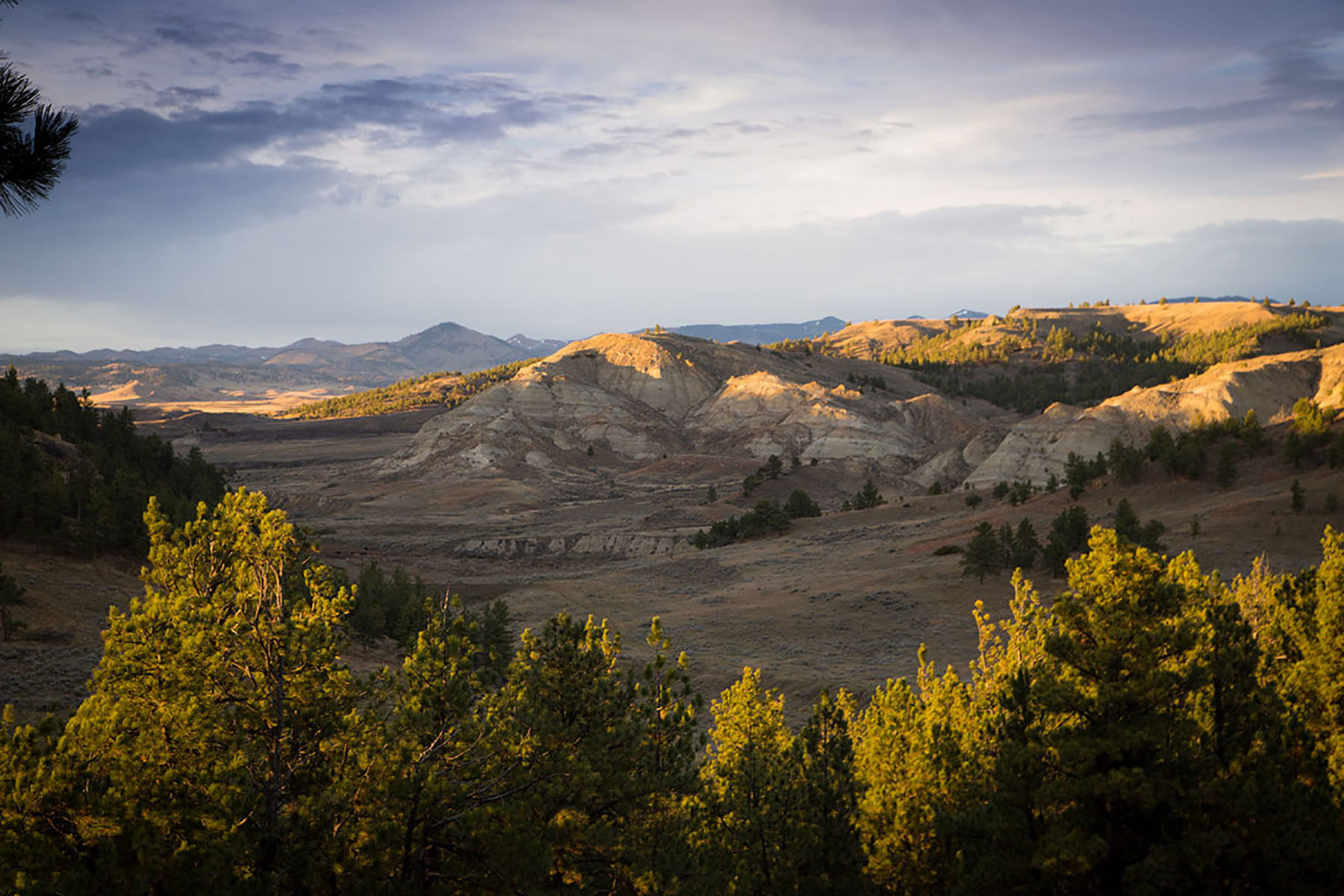 Birch Creek Ranch property picture 6 of 25