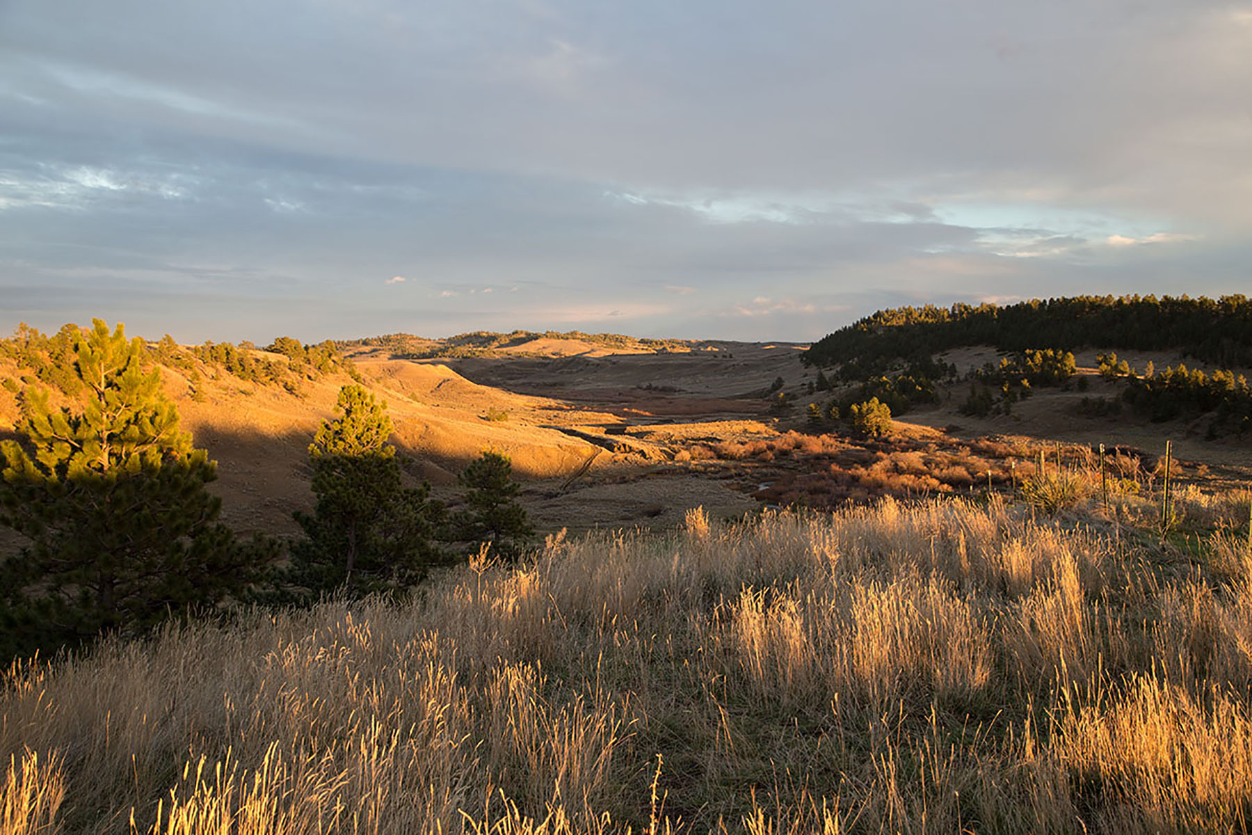Birch Creek Ranch property picture 19 of 25