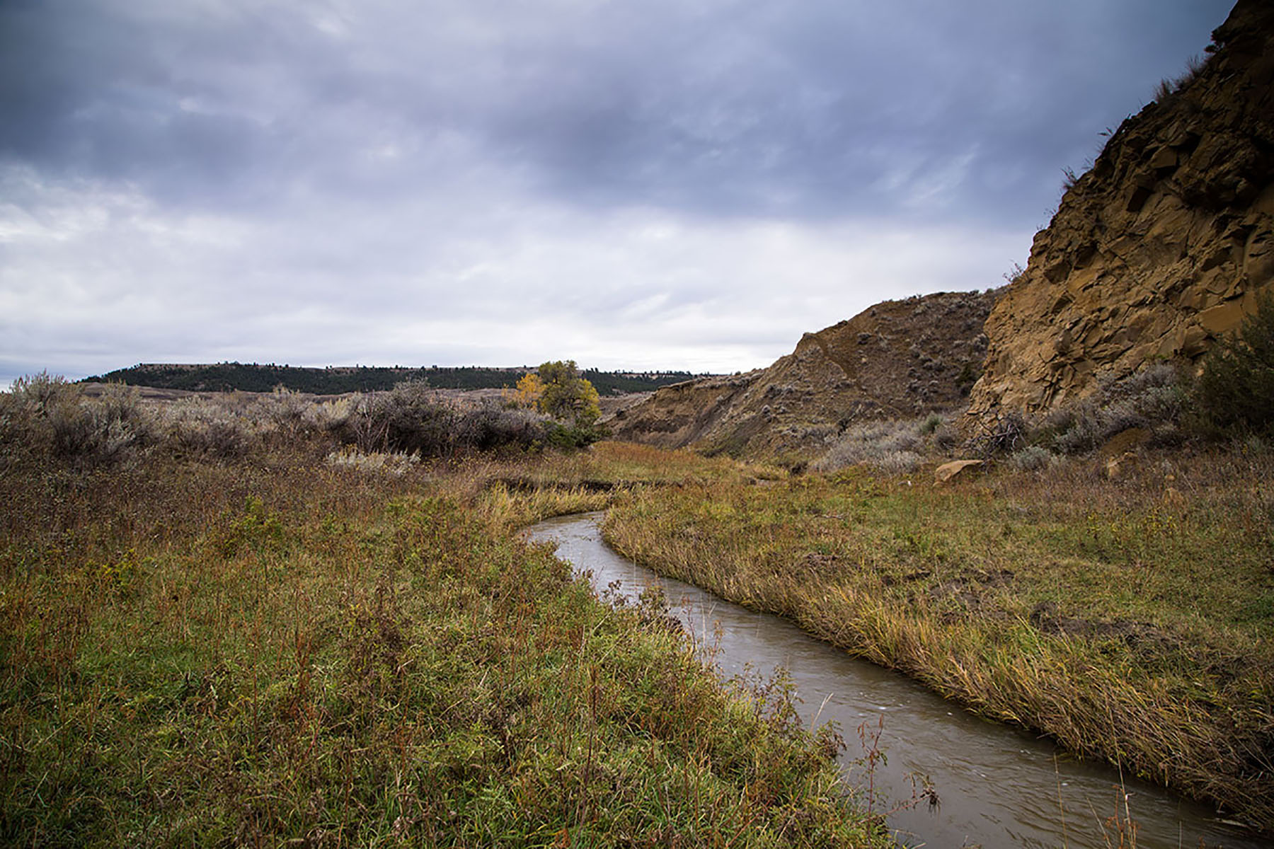 Birch Creek Ranch property picture 16 of 25