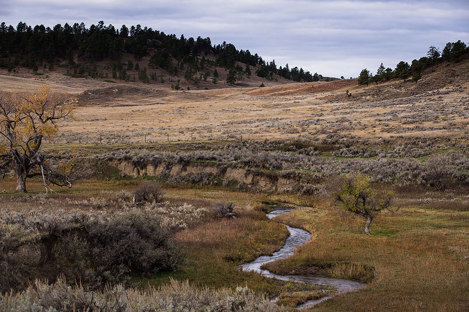 Birch Creek Ranch property picture 22 of 25