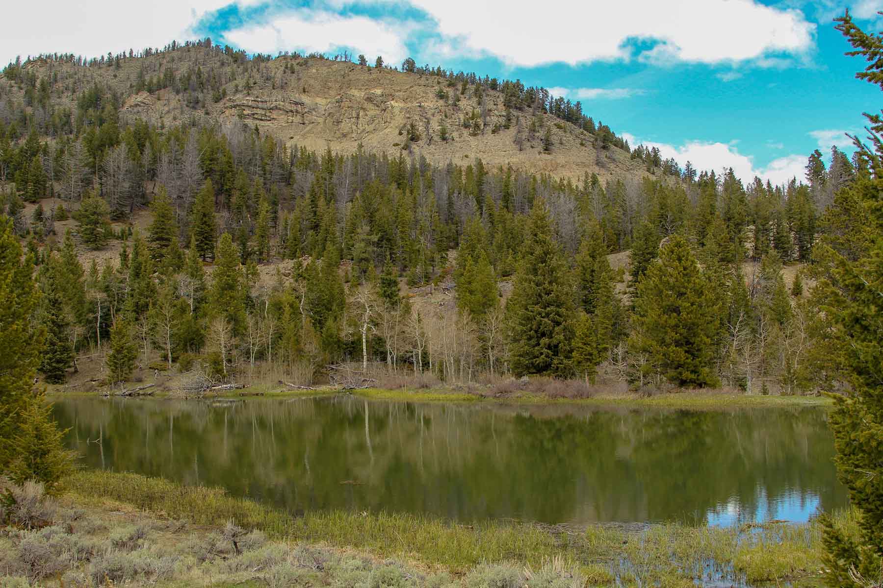 Wood River Ranch property picture 24 of 27