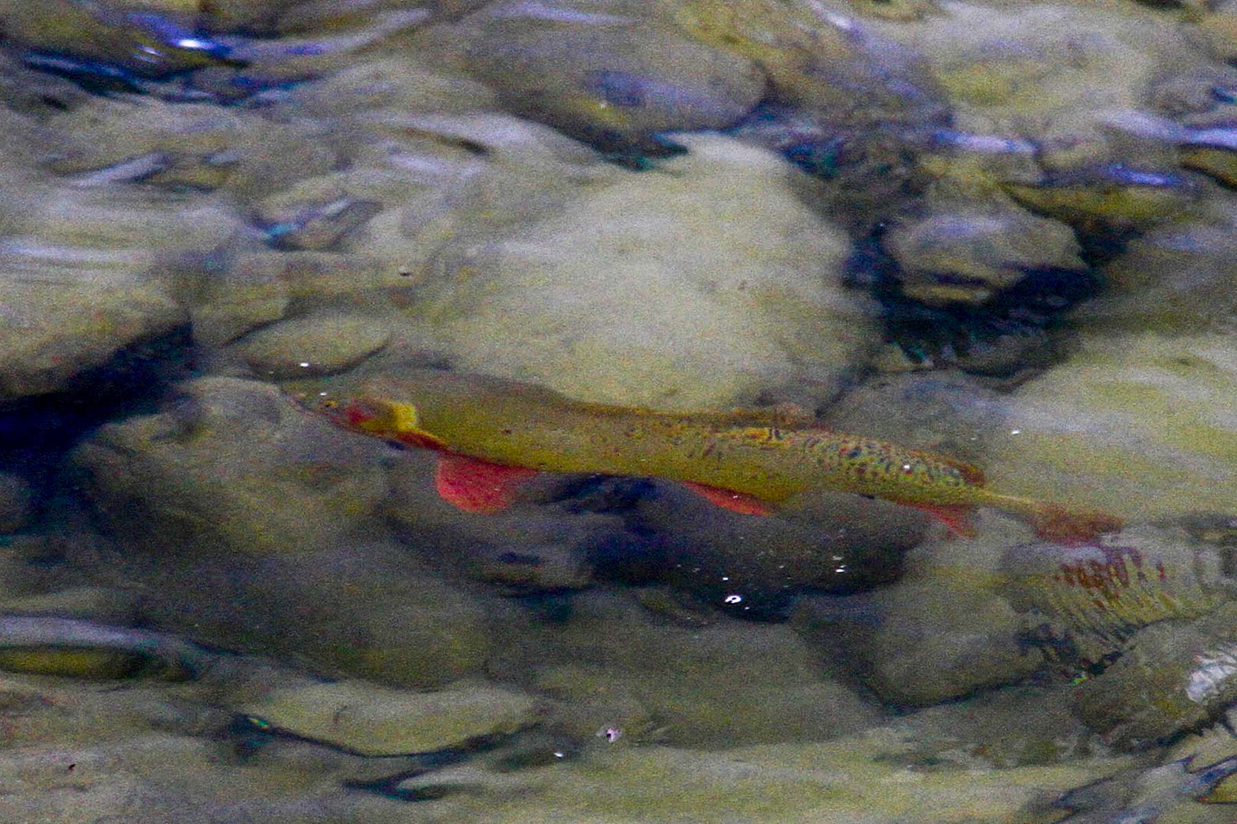 Wood River Ranch property picture 3 of 27