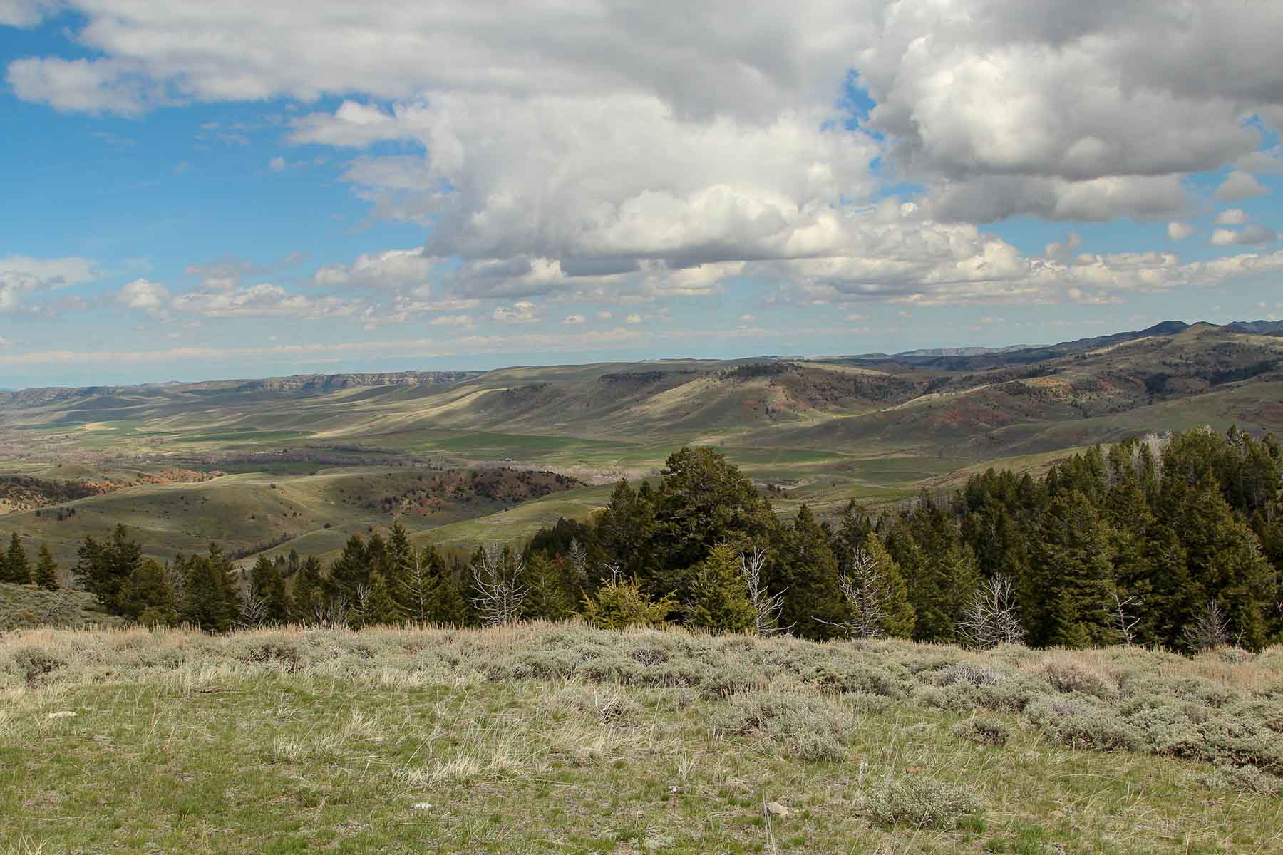 Wood River Ranch property picture 21 of 27