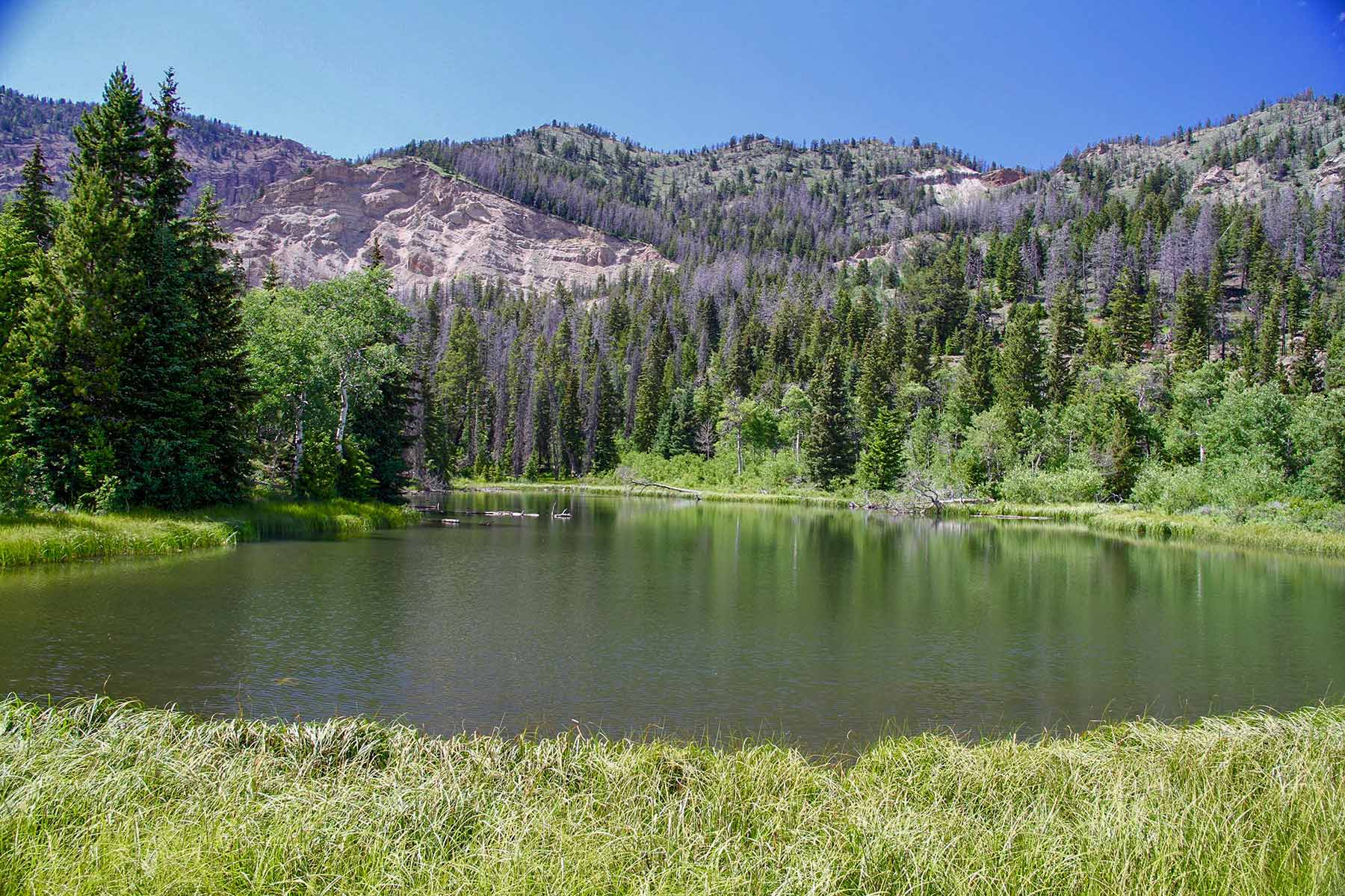 Wood River Ranch Sold Wyoming Hall and Hall