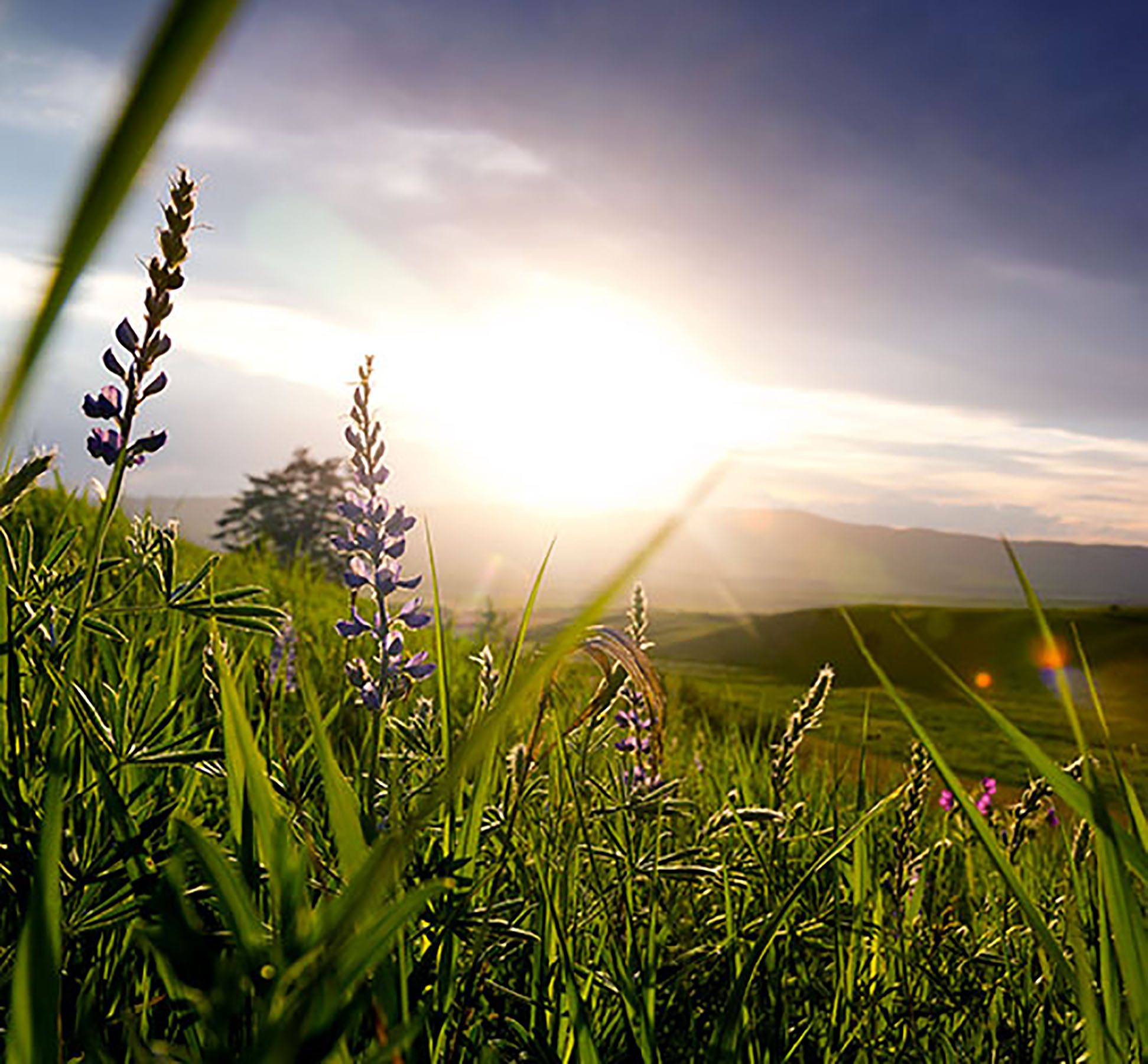 Bridger Passage Ranch property picture 5 of 28