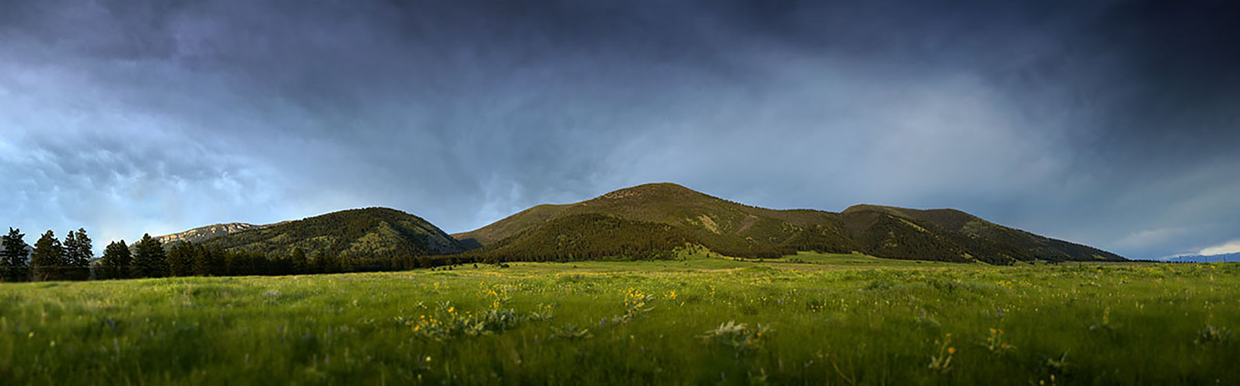 Bridger Passage Ranch property picture 23 of 28