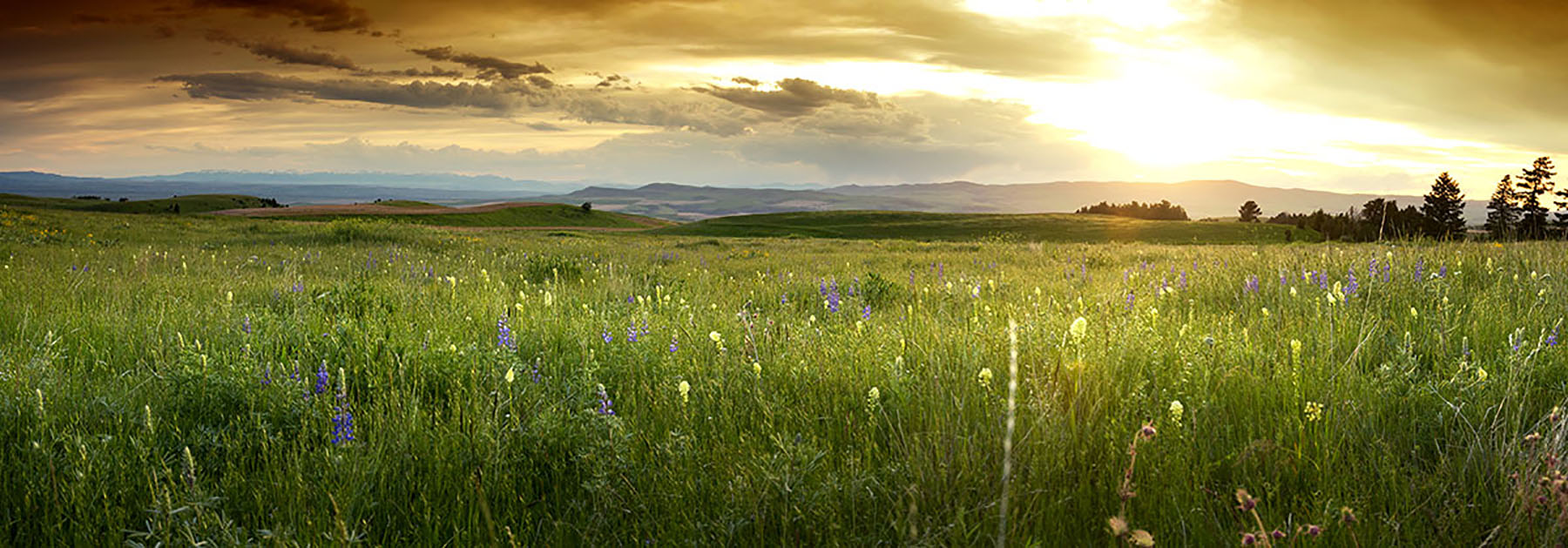 Bridger Passage Ranch property picture 24 of 28